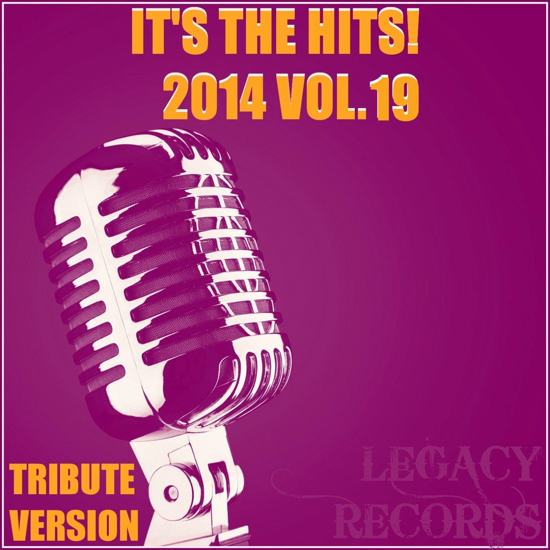 Постер альбома It's The Hits! 2014 Vol.19