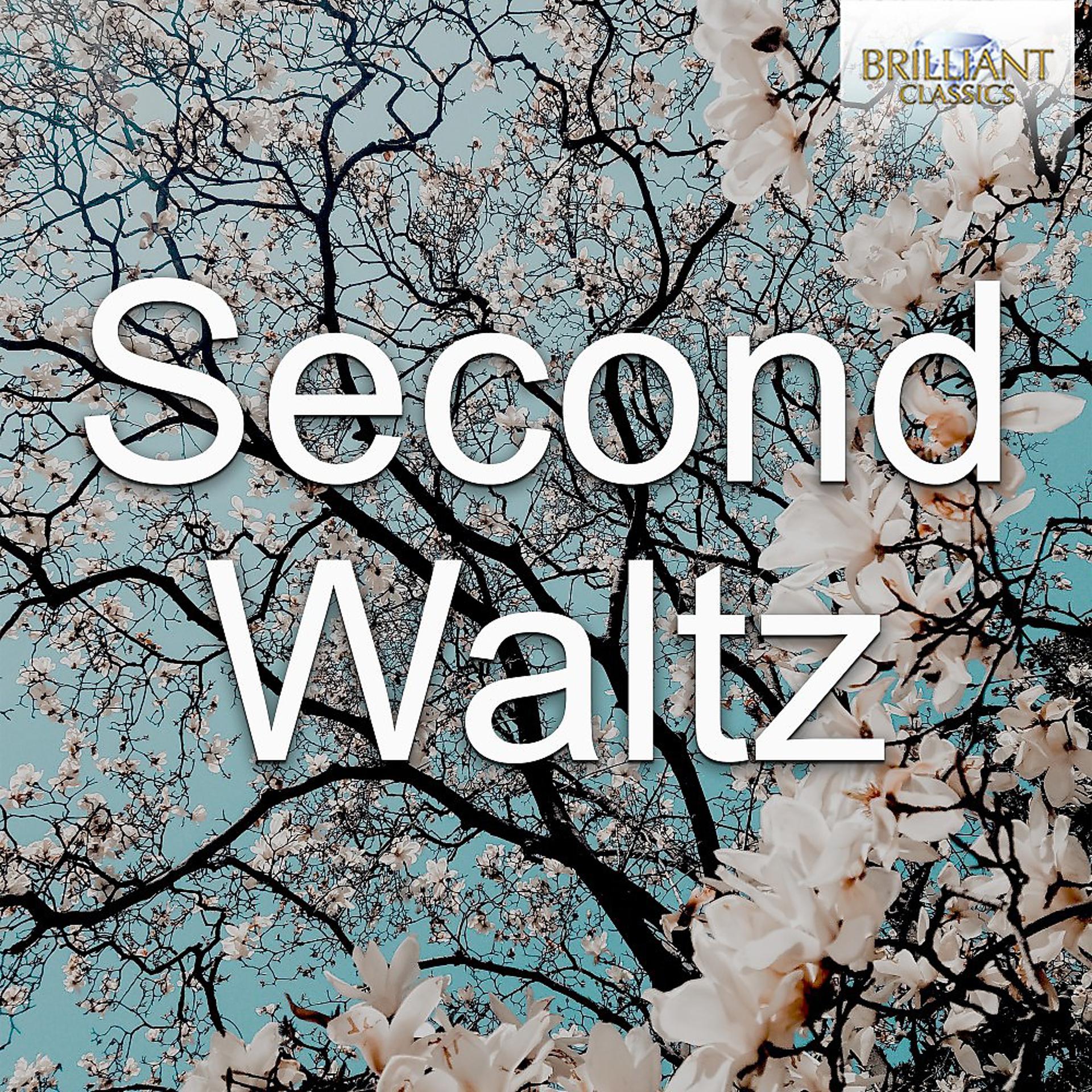 Постер альбома Second Waltz