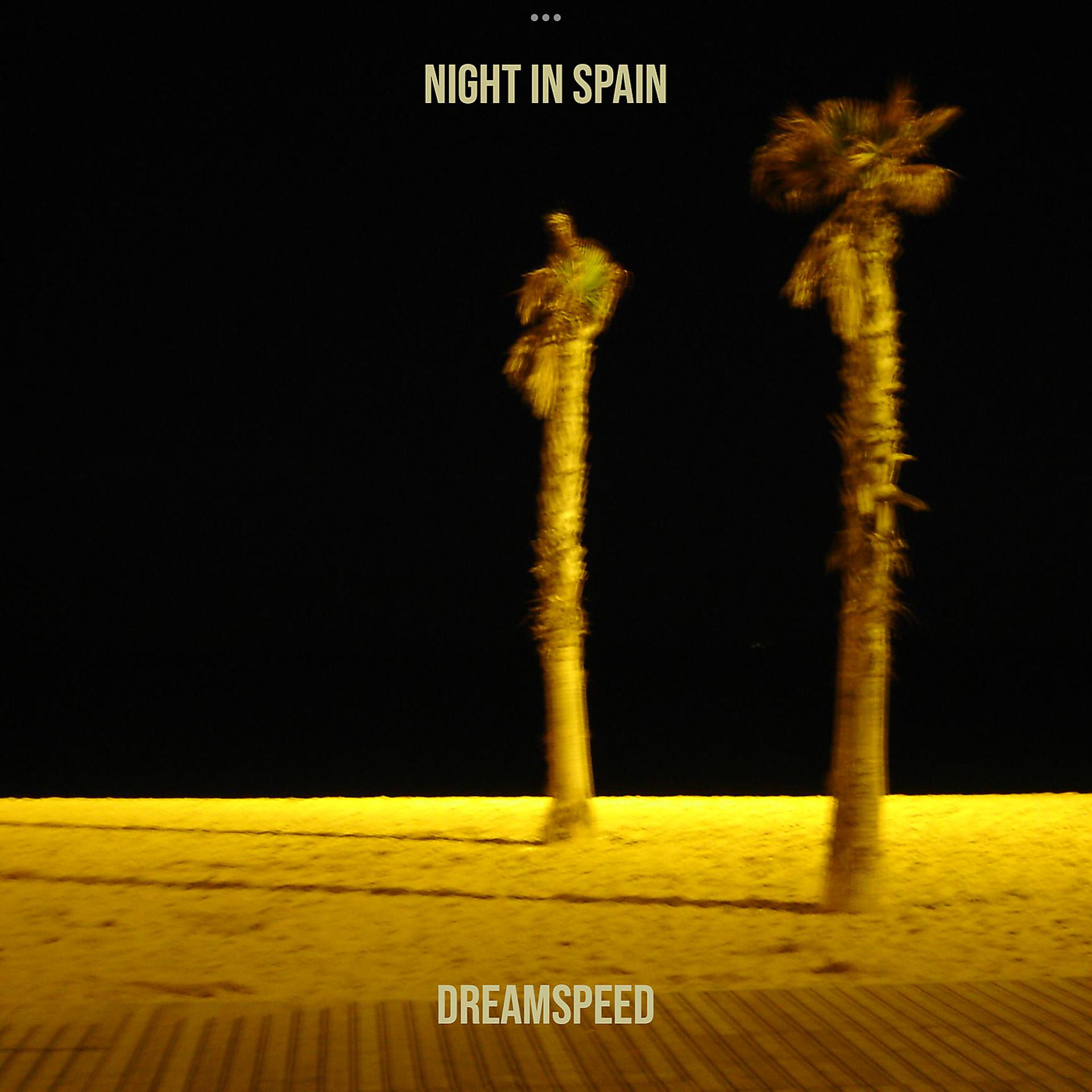 Постер альбома Night in Spain