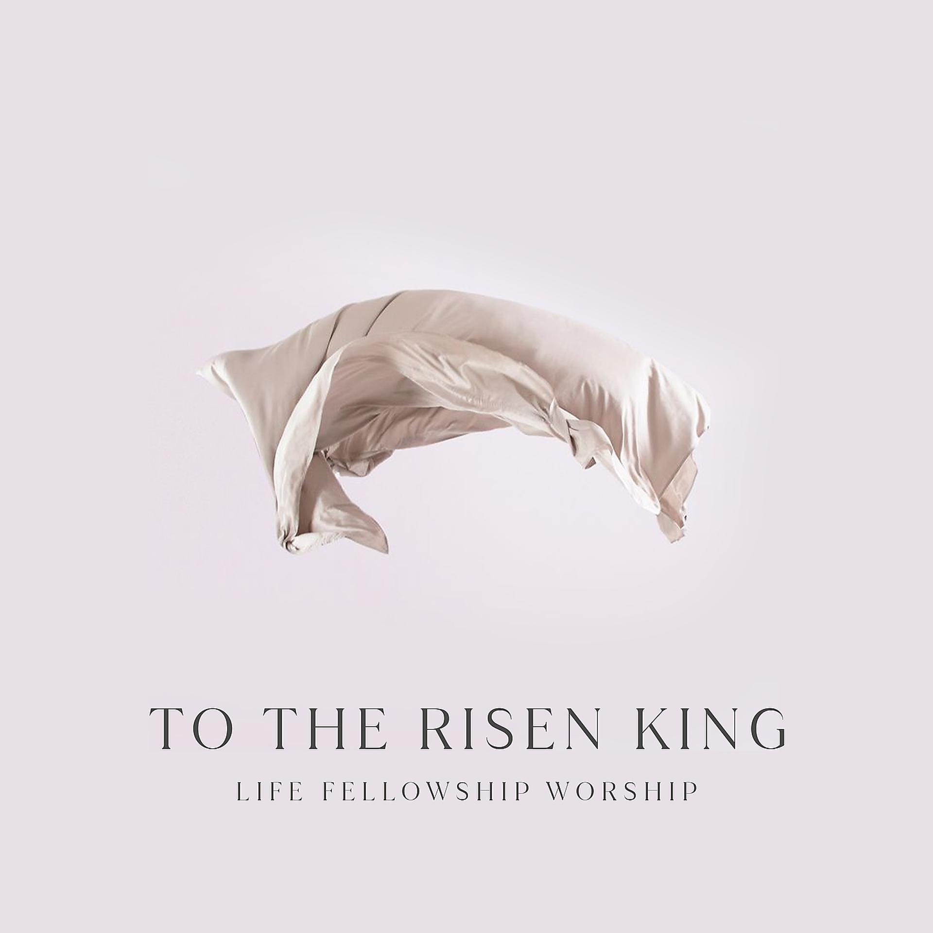 Постер альбома To the Risen King