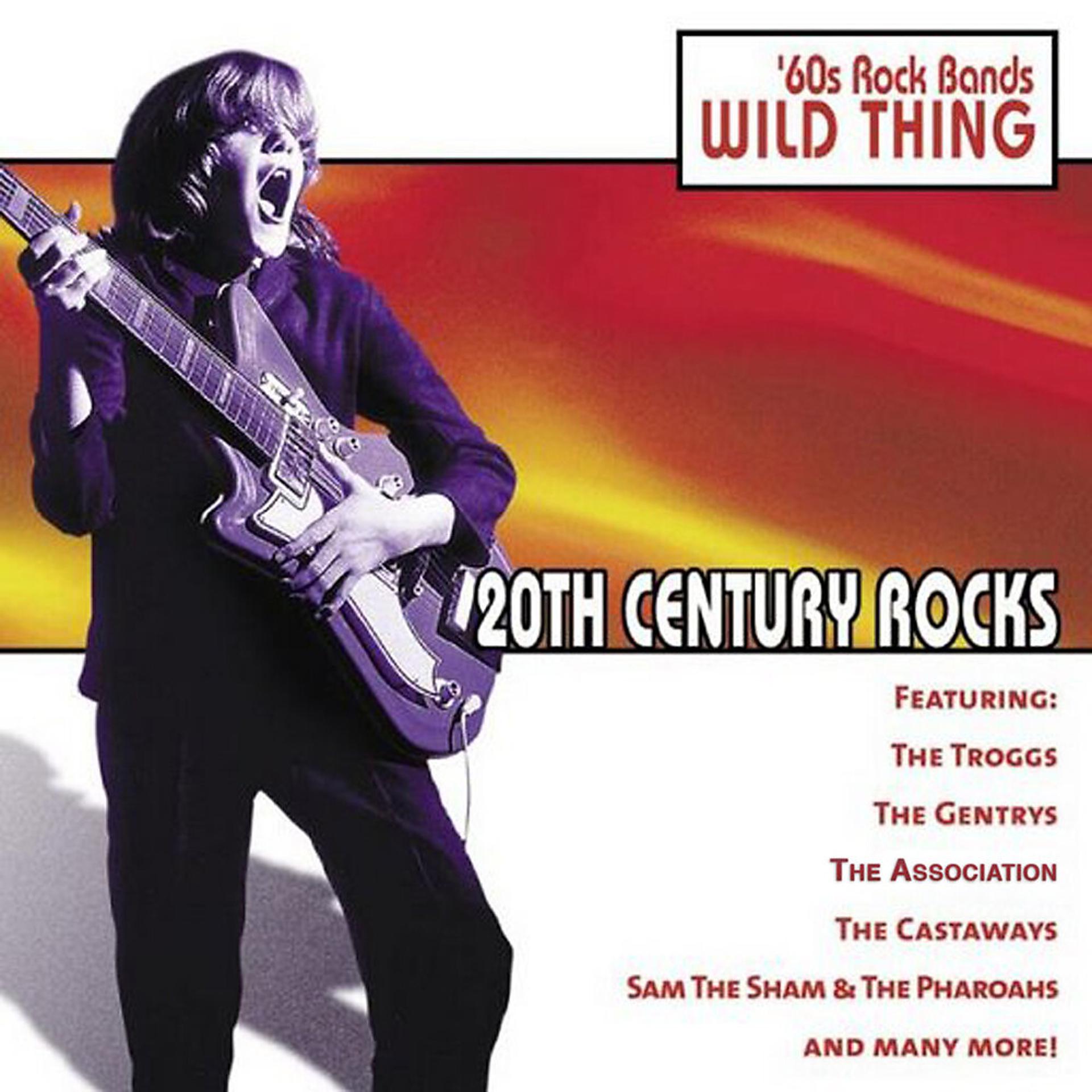 Постер альбома 20th Century Rocks: 60's Rock Bands - Wild Thing