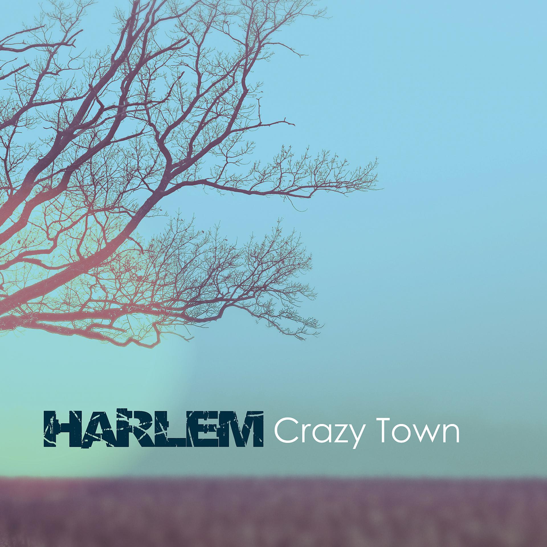 Постер альбома Crazy Town