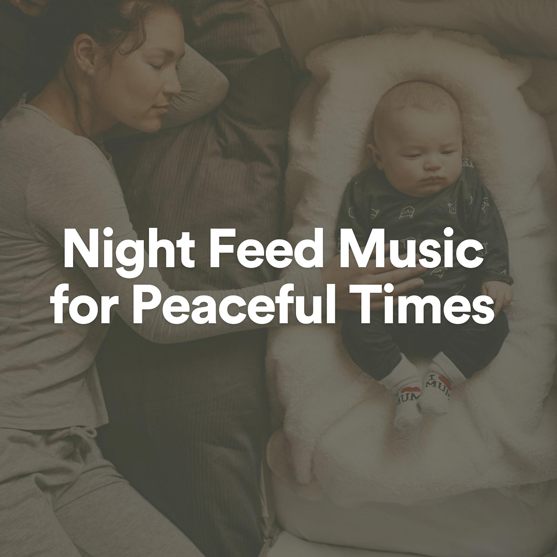 Постер альбома Night Feed Music for Peaceful Times