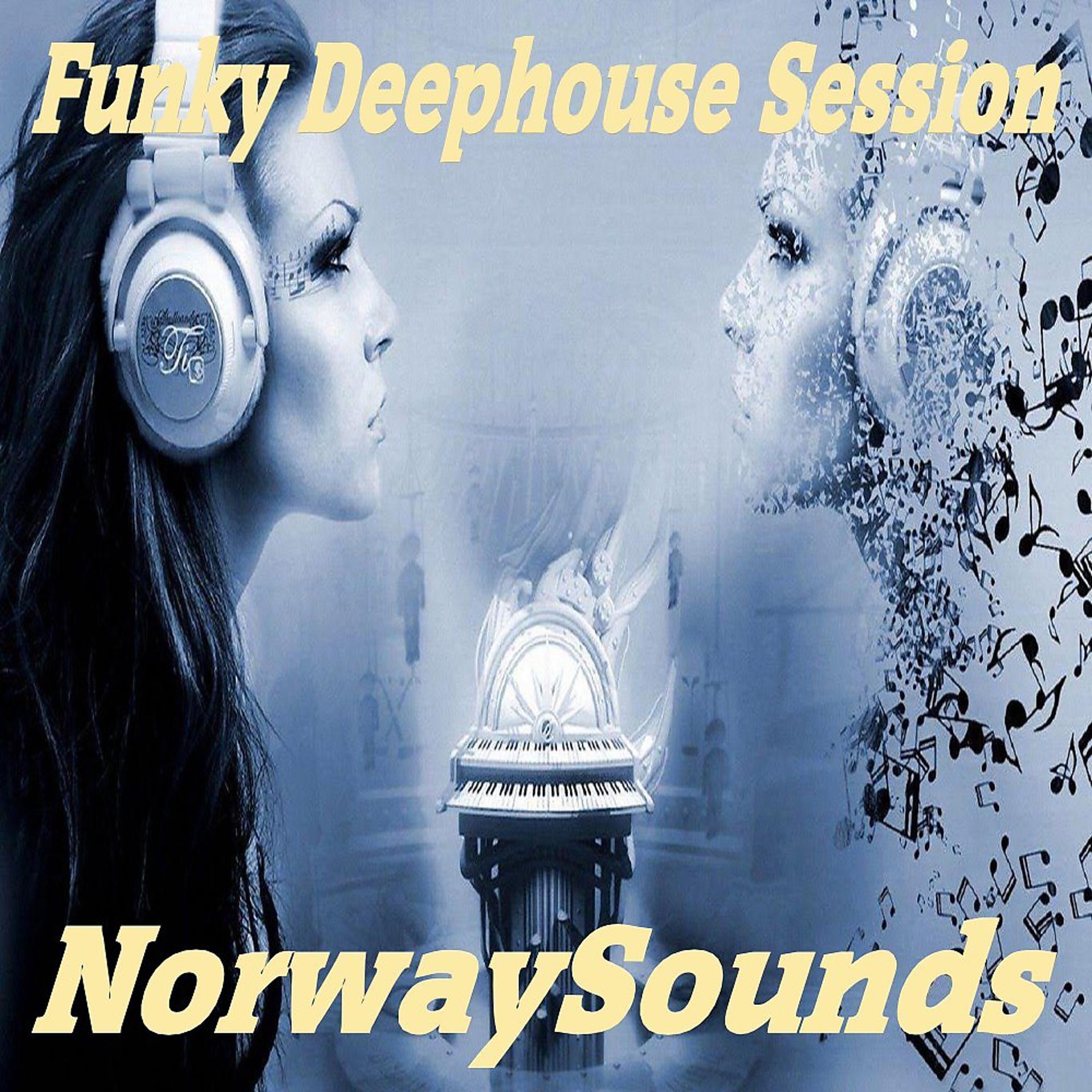 Постер альбома Funky Deephouse Session