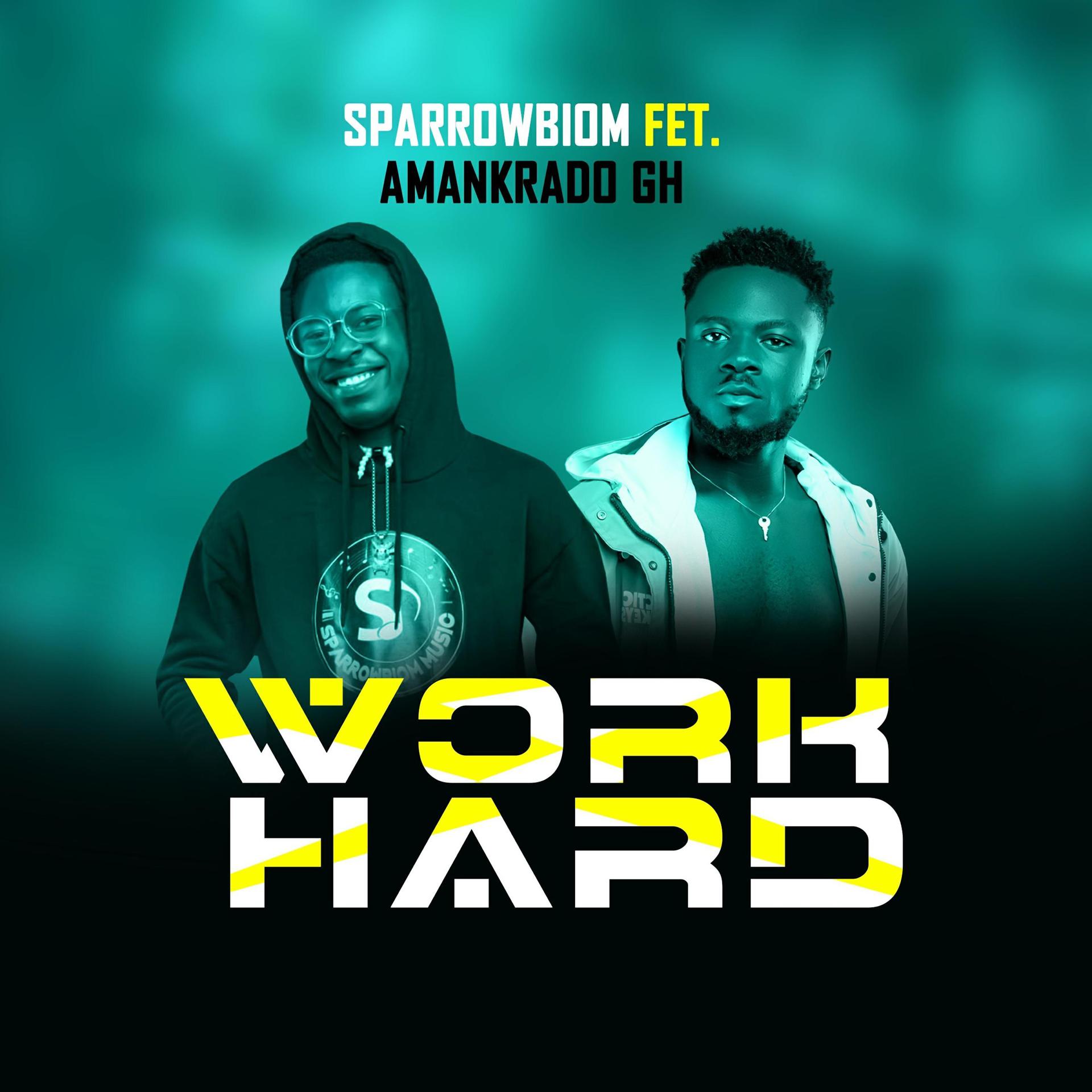 Постер альбома Work Hard (feat. Amankrado GH)