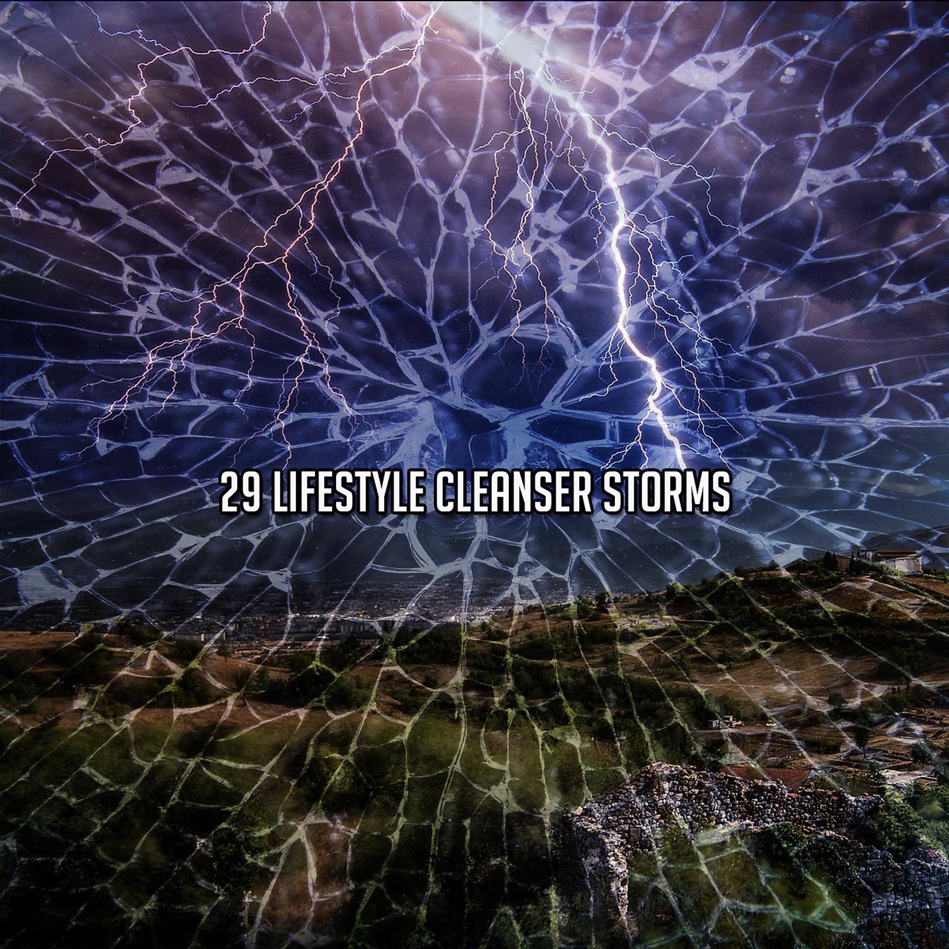 Постер альбома 29 очищающих штормов образа жизни
