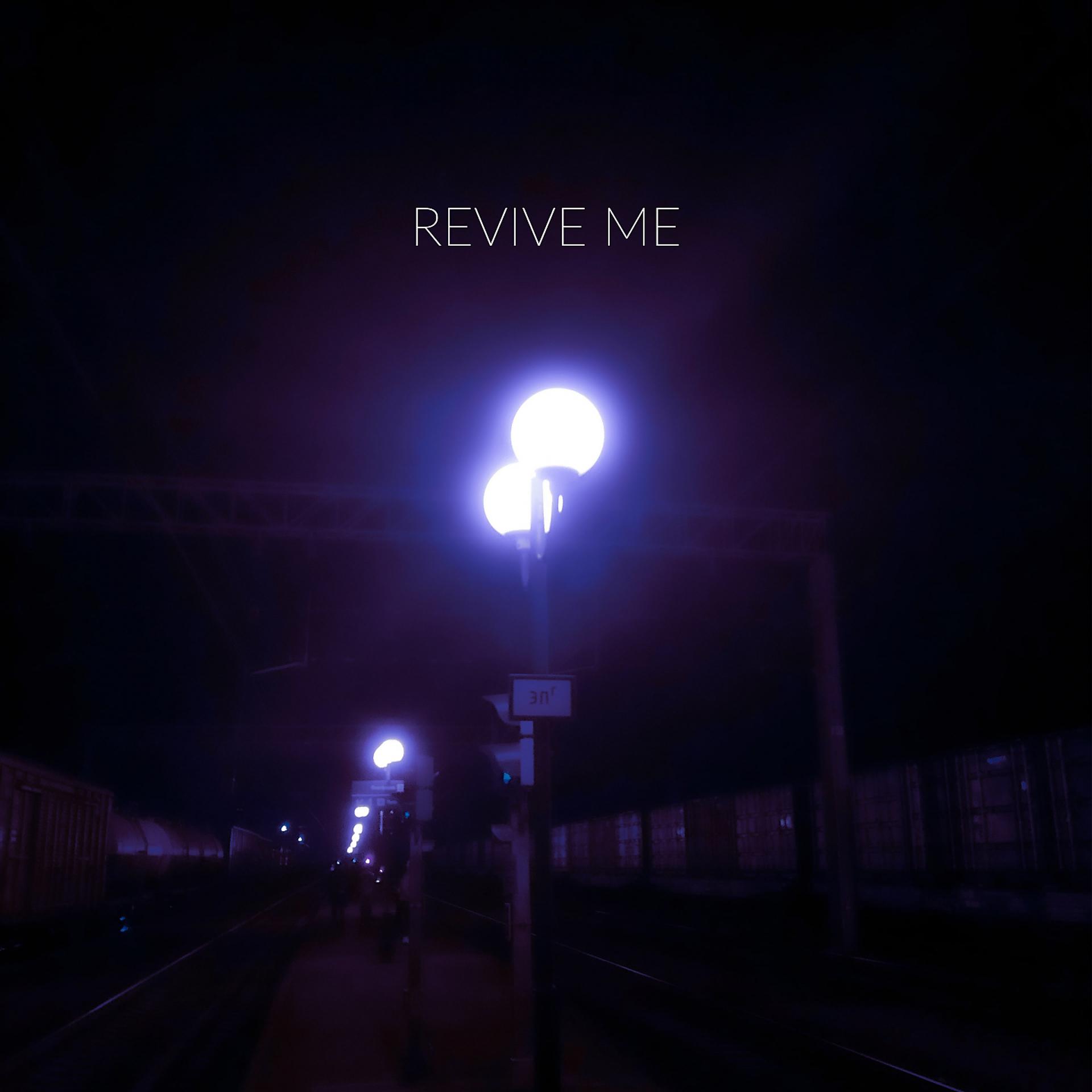 Постер альбома Revive Me