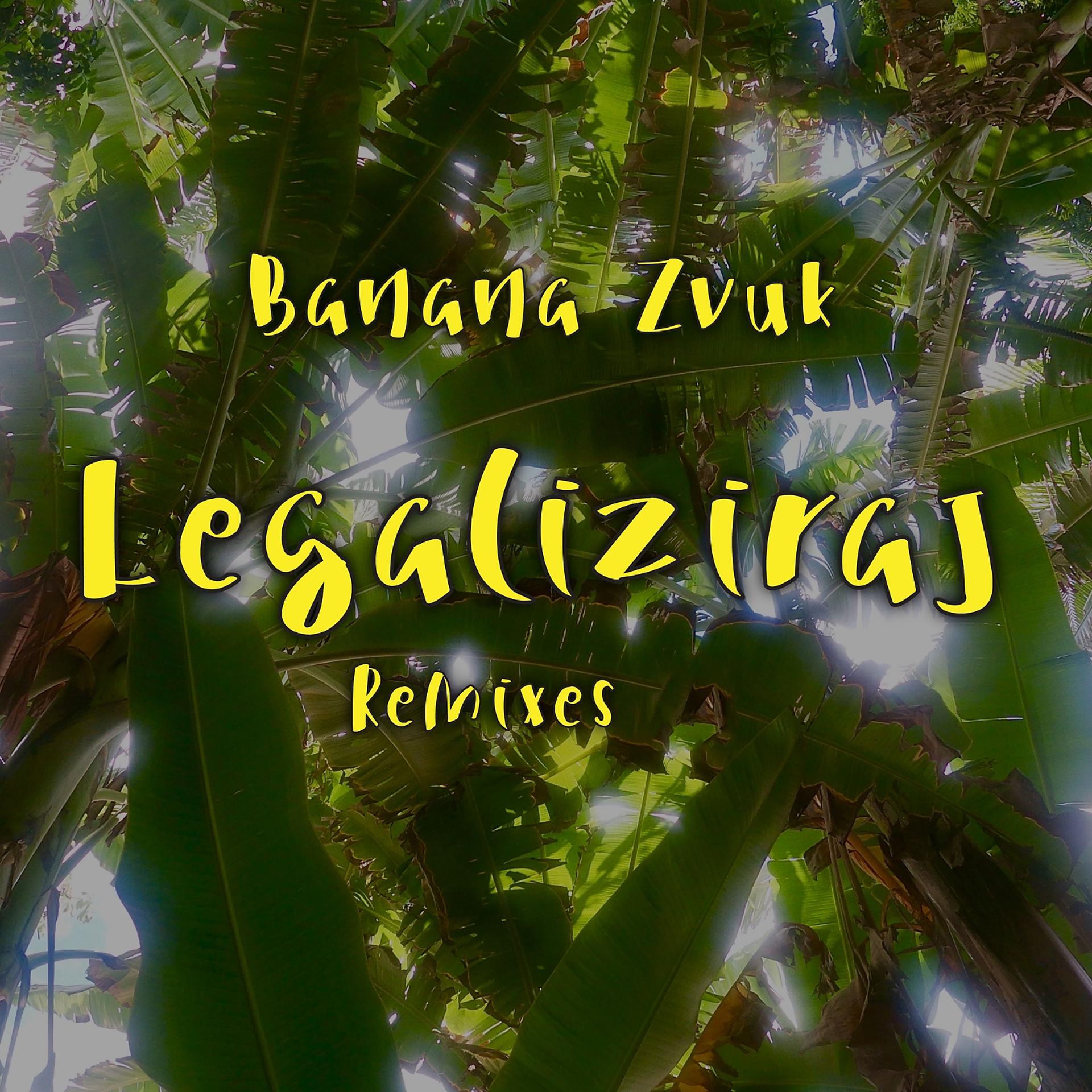 Постер альбома Legaliziraj