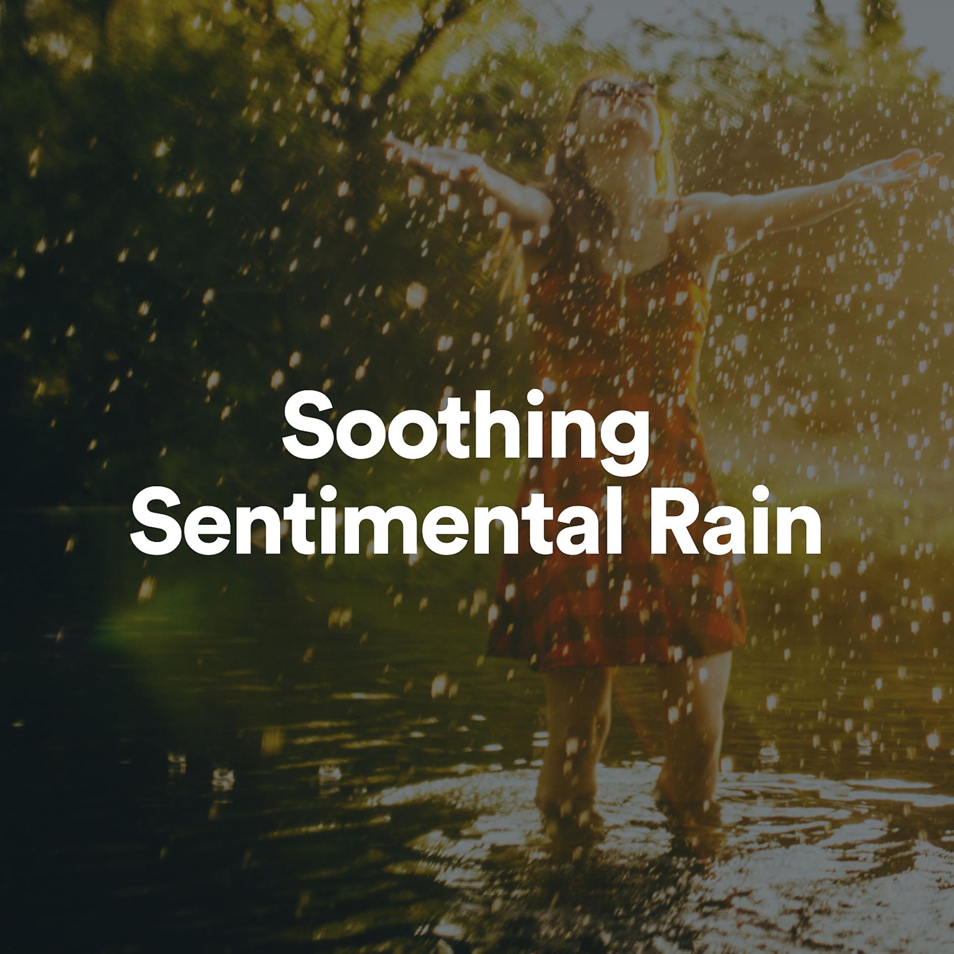 Постер альбома Soothing Sentimental Rain