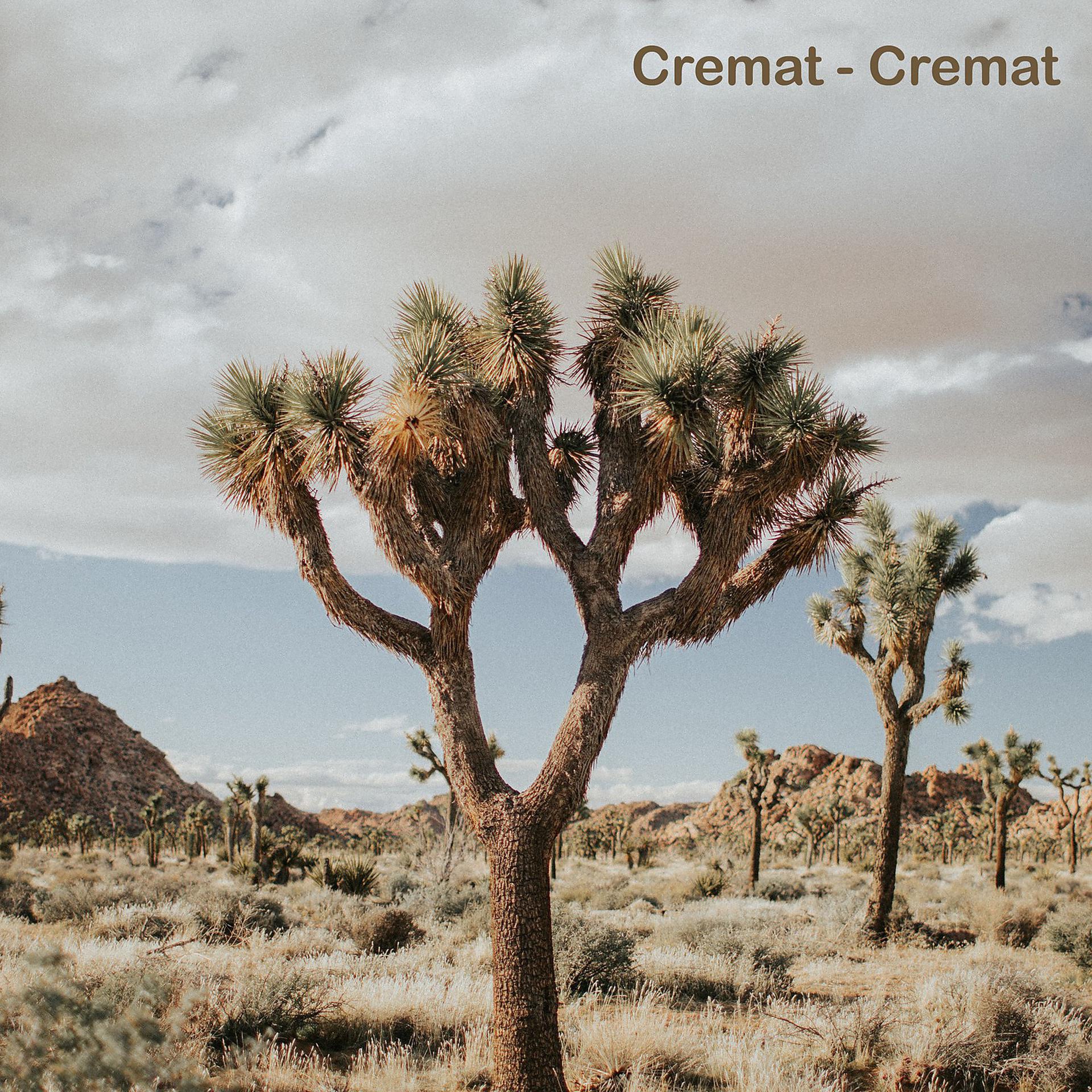 Постер альбома Cremat