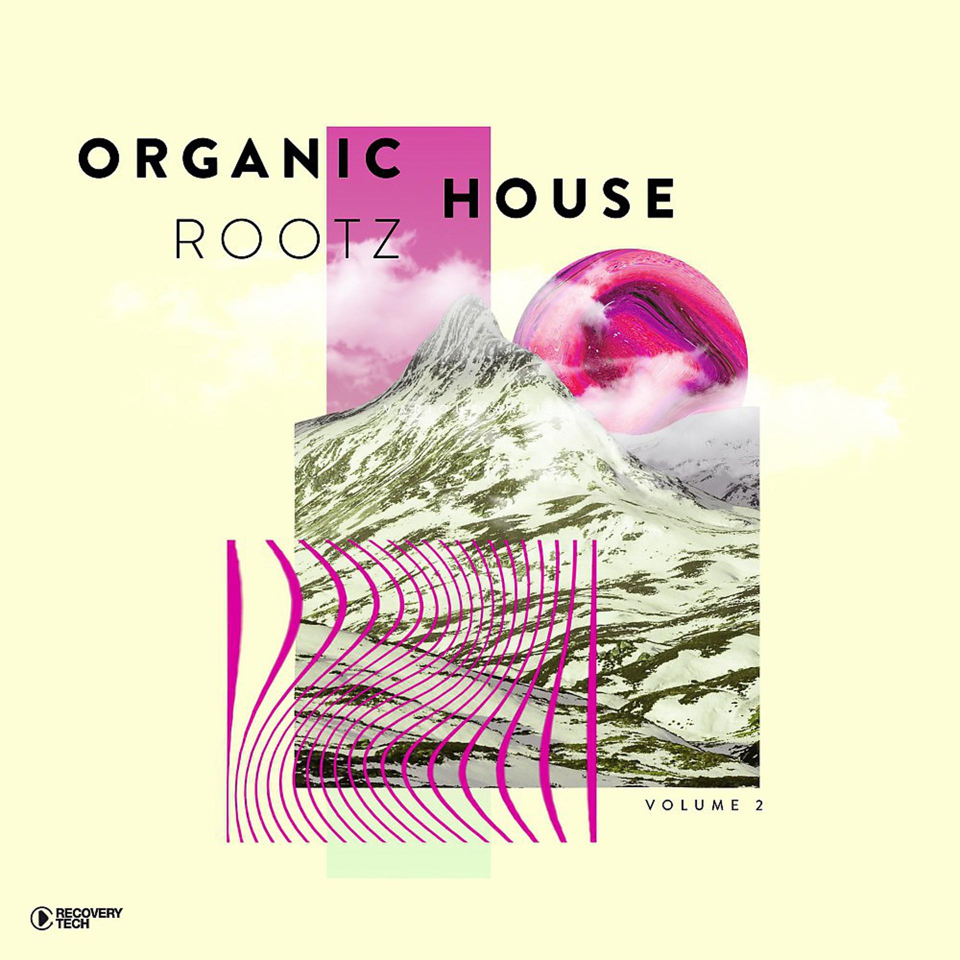 Постер альбома Organic House Rootz, Vol. 2