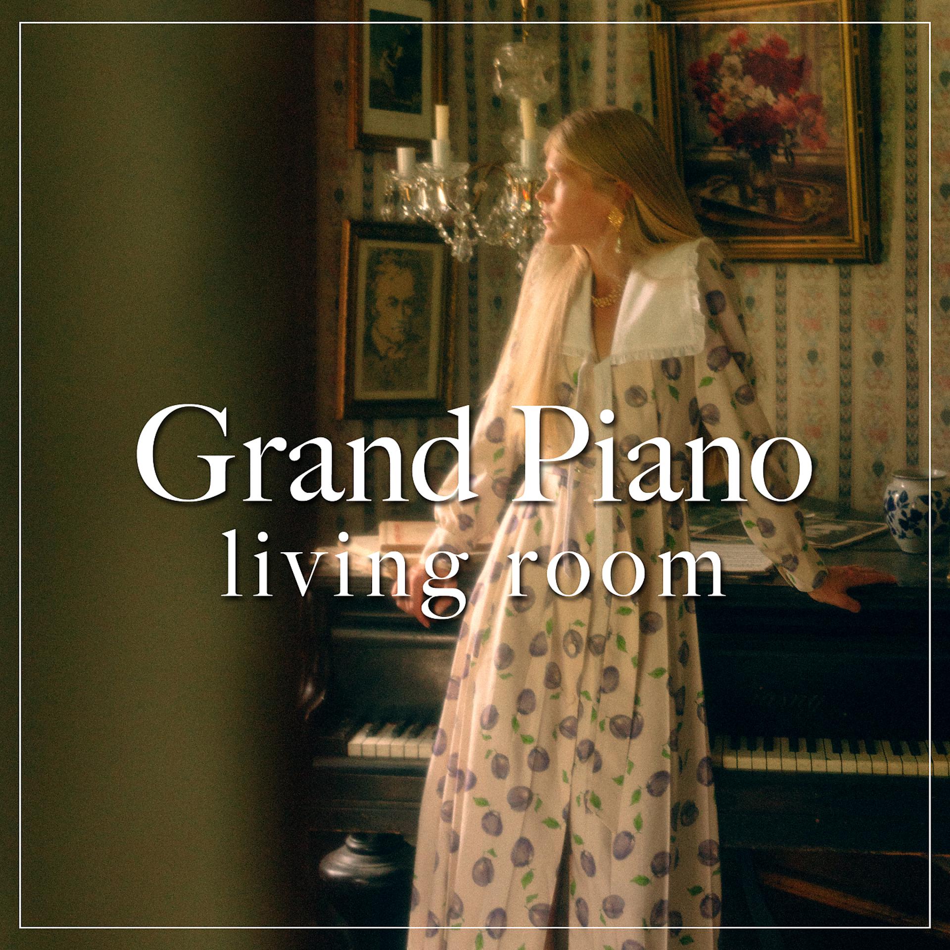 Постер альбома Grand piano living room