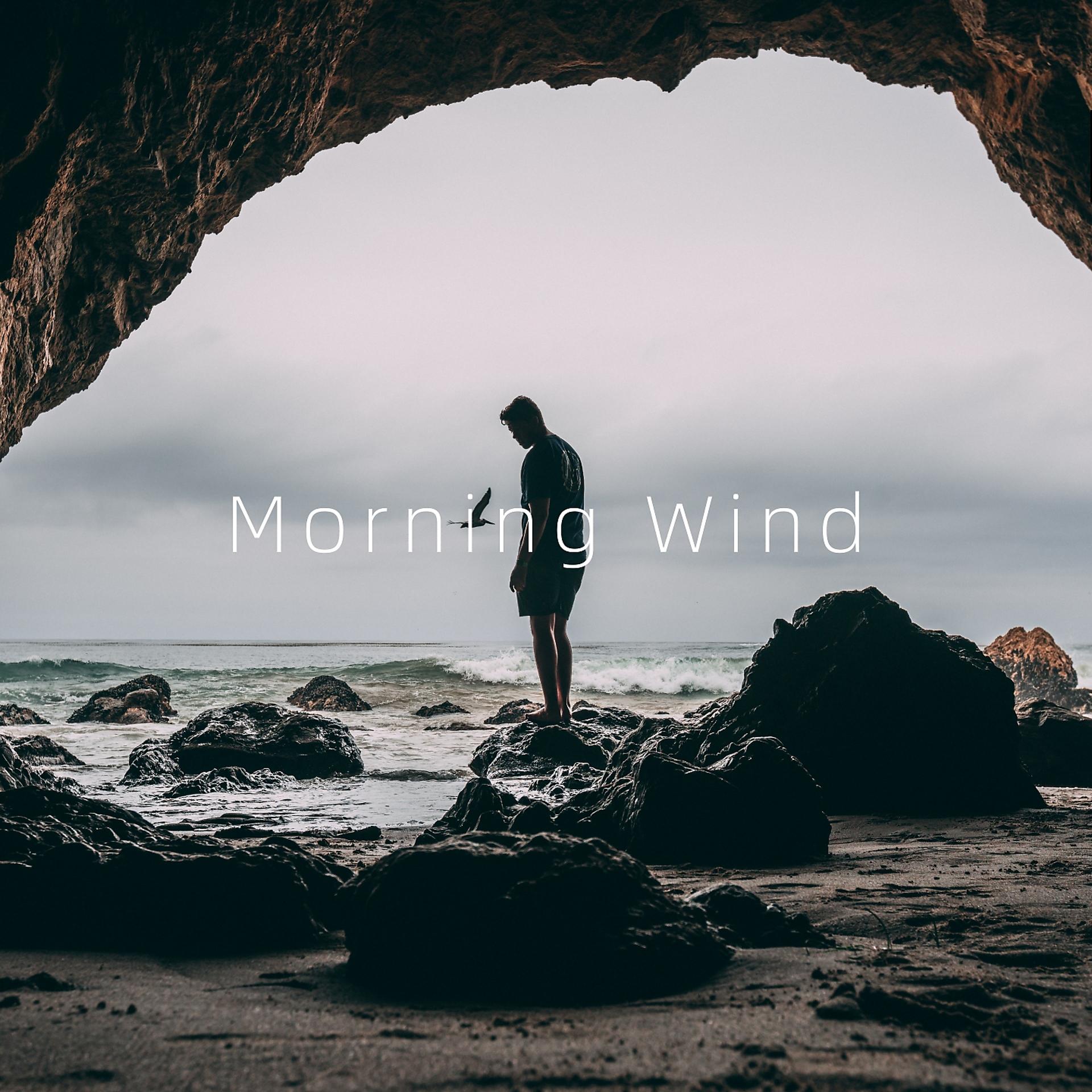 Постер альбома Morning Wind