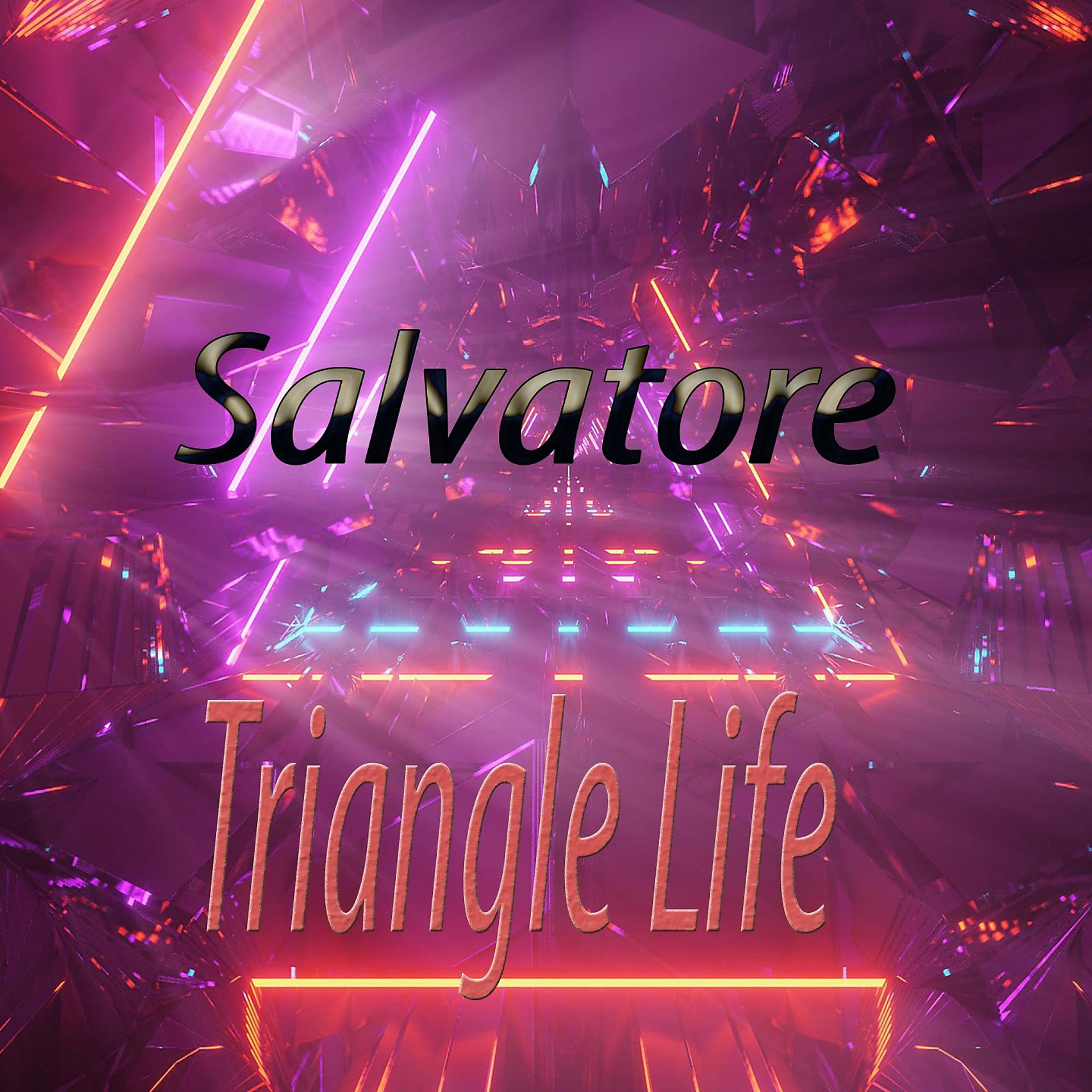 Постер альбома Triangle Life