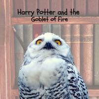 Постер альбома Harry Potter and the Goblet of Fire