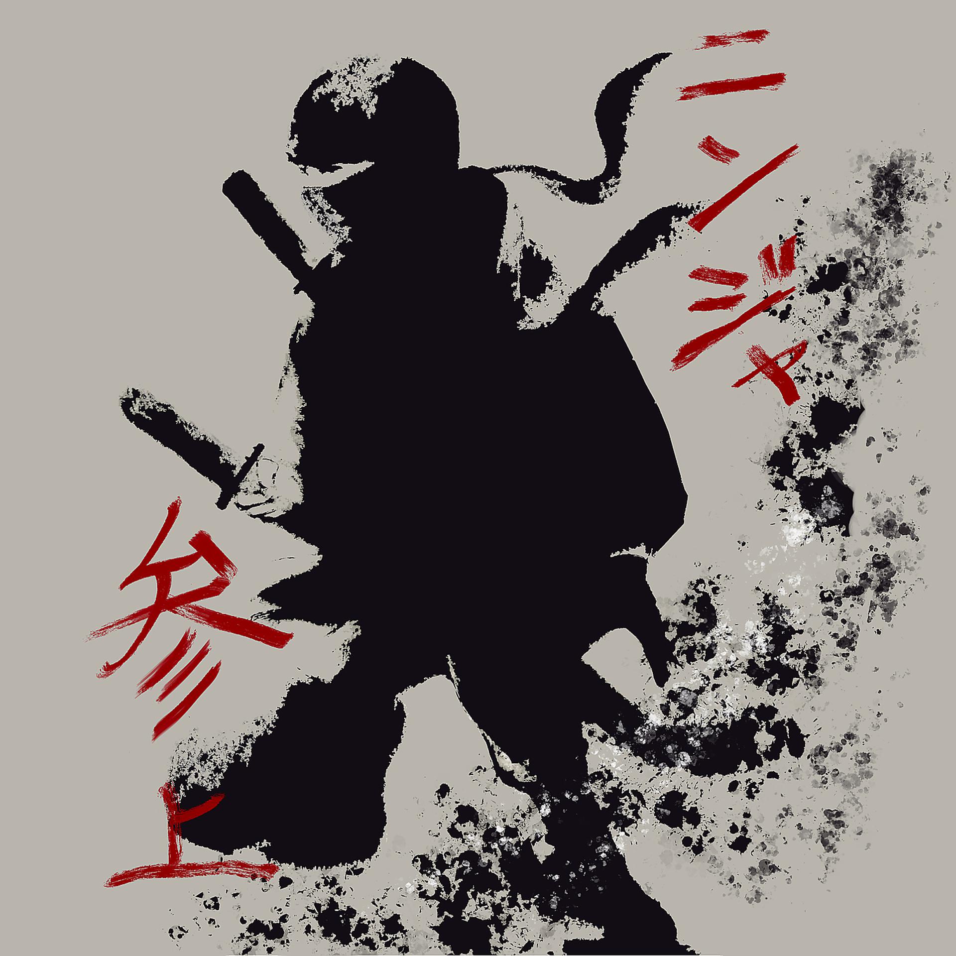Постер альбома Here Comes the Ninja