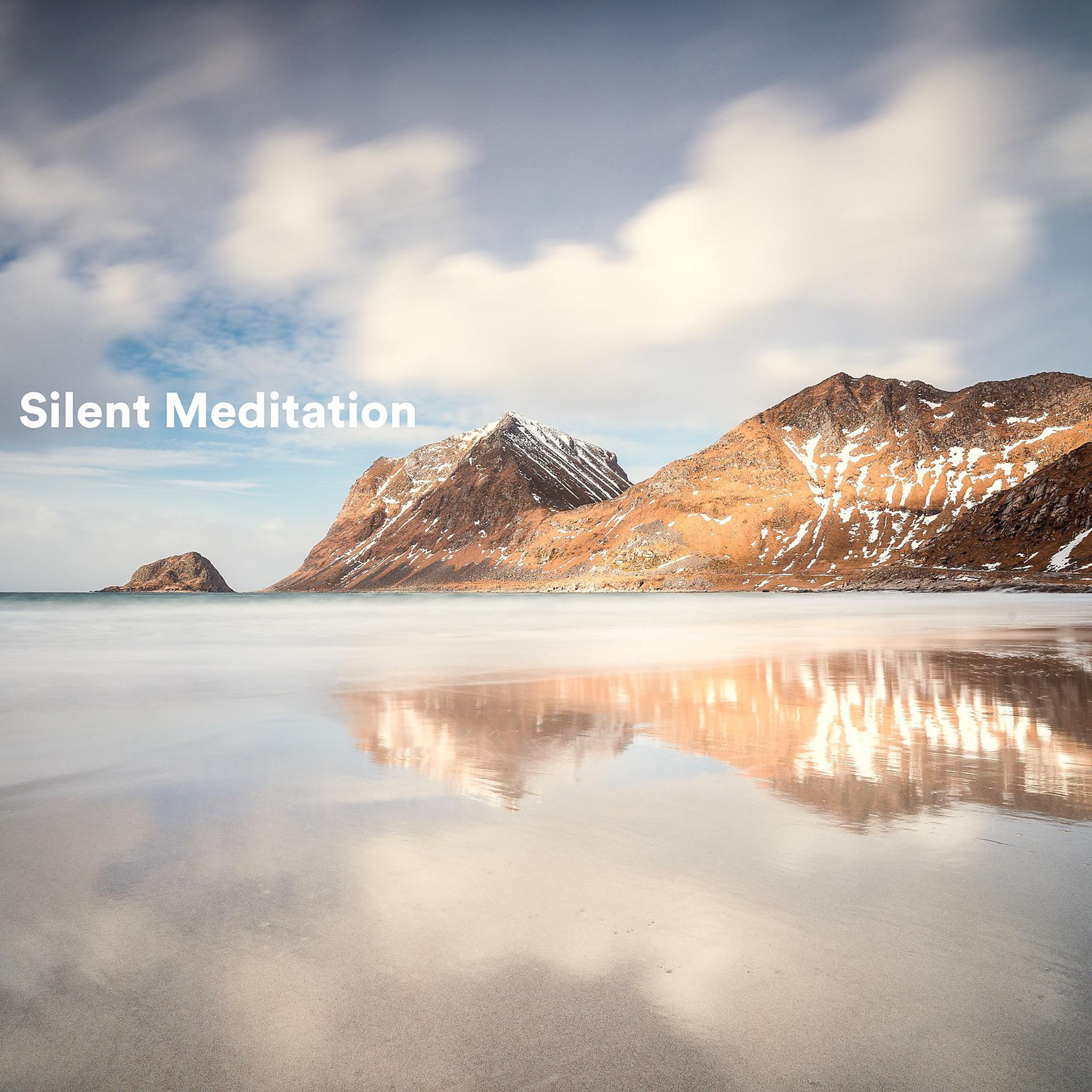 Постер альбома Silent Meditation