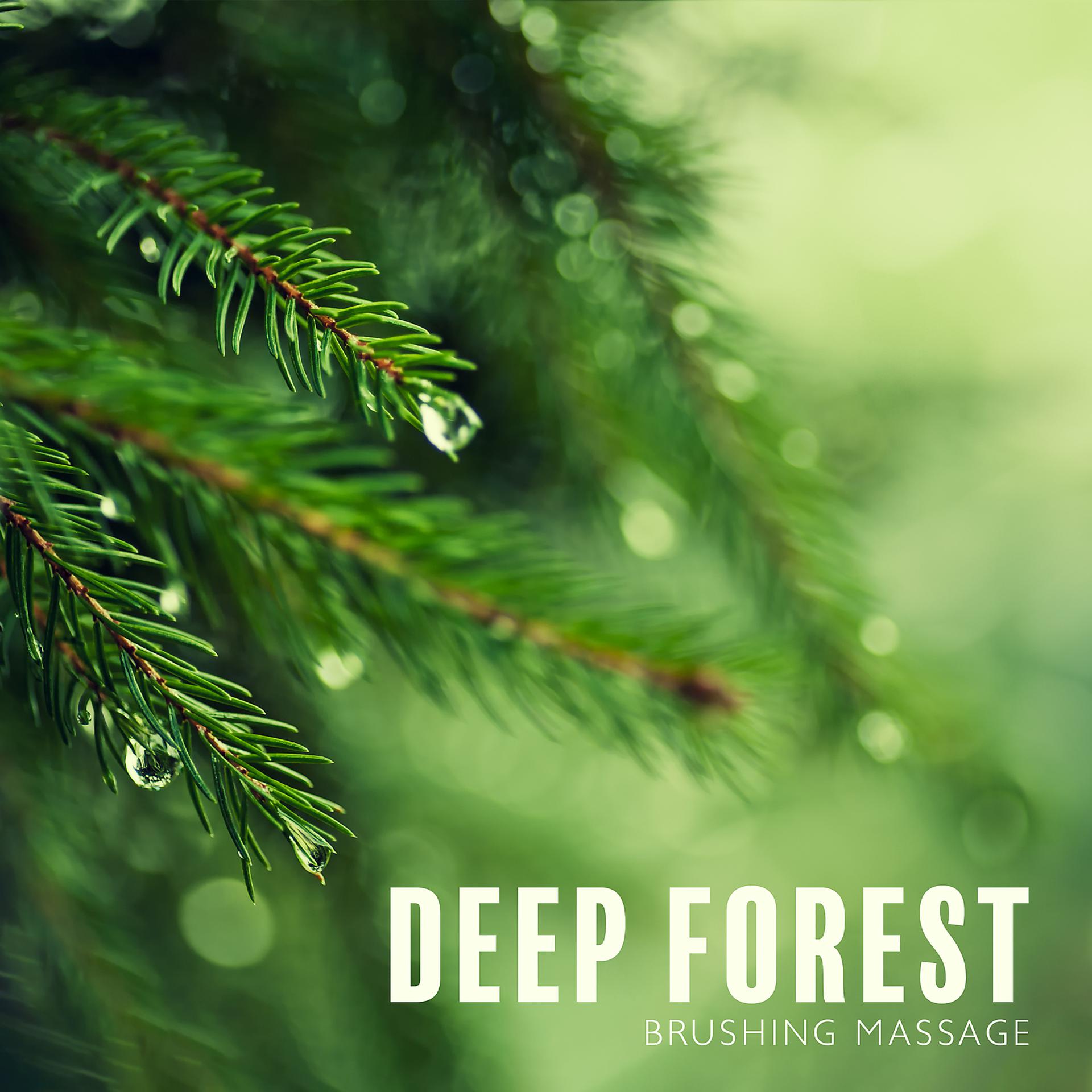 Постер альбома Deep Forest: Brushing Massage, Bath Foam Spa, Forest Aromatherapy, Nature Bathing, Hypersleep