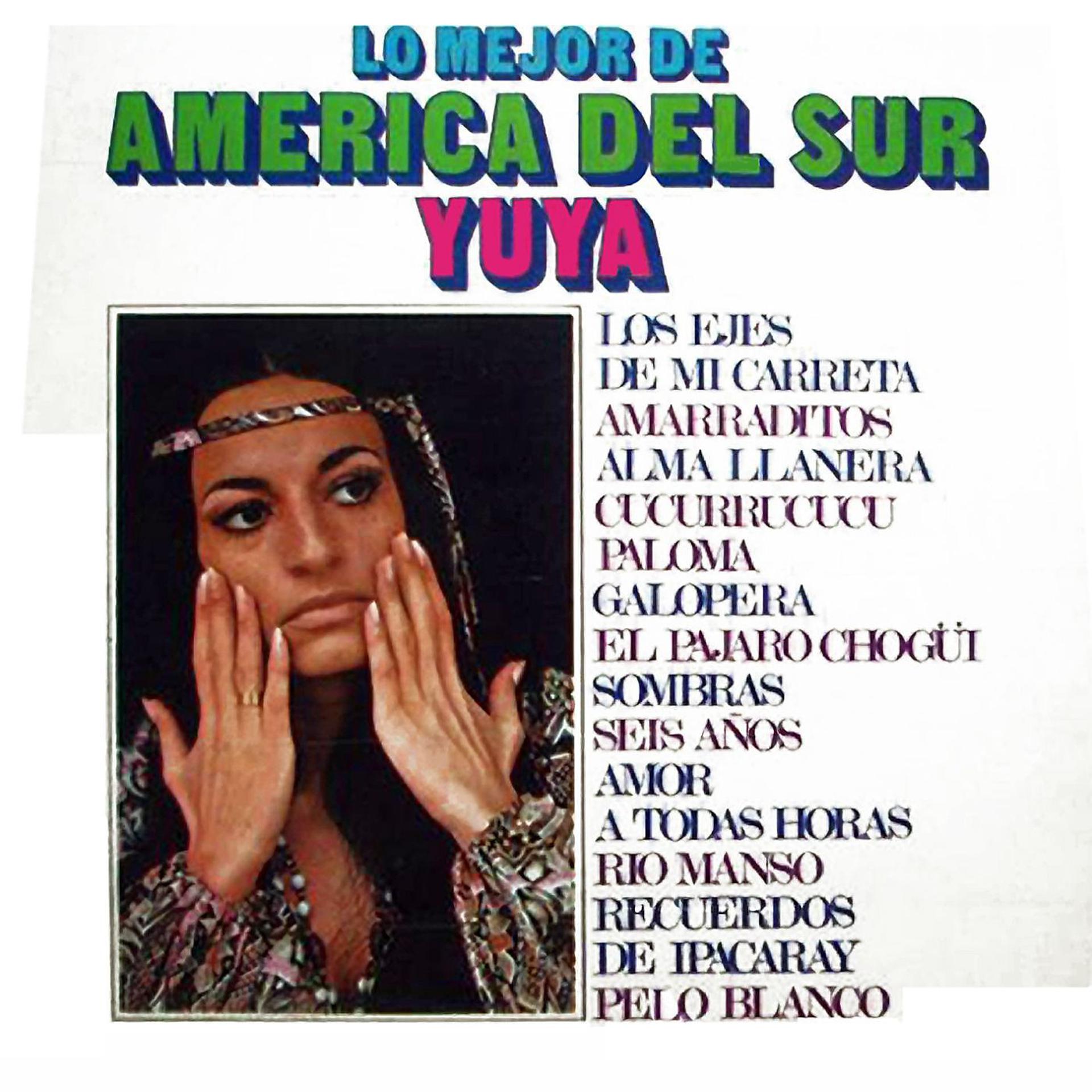 Постер альбома Lo Mejor De America Del Sur