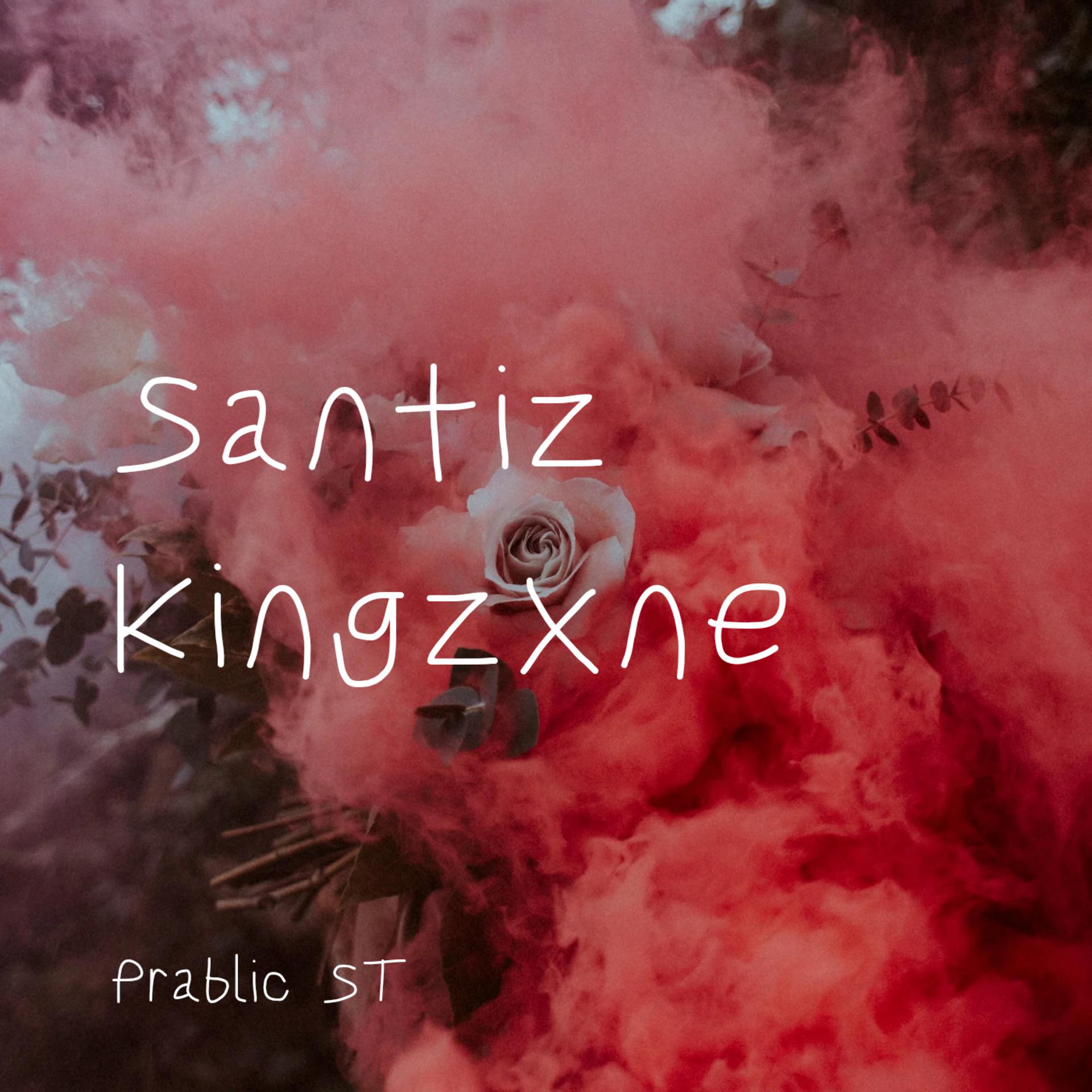 Постер альбома Santiz Kingzxne