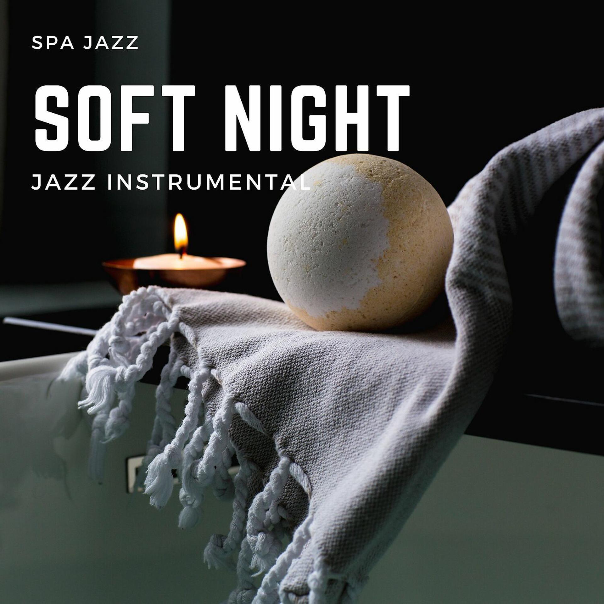 Постер альбома Soft Night Jazz Instrumental