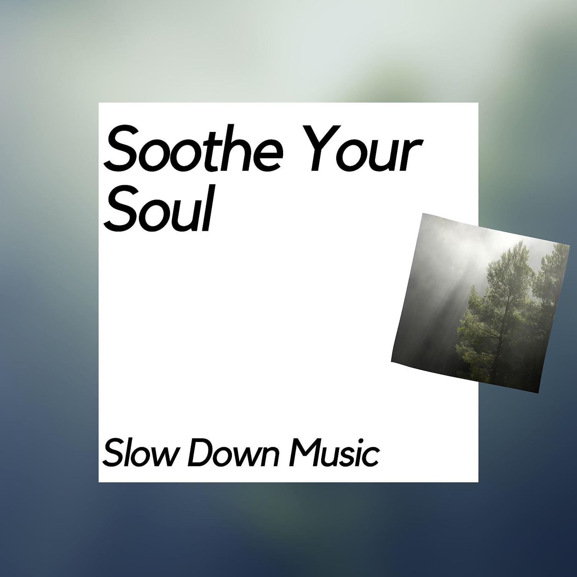 Постер альбома Soothe Your Soul and Slow Down Music