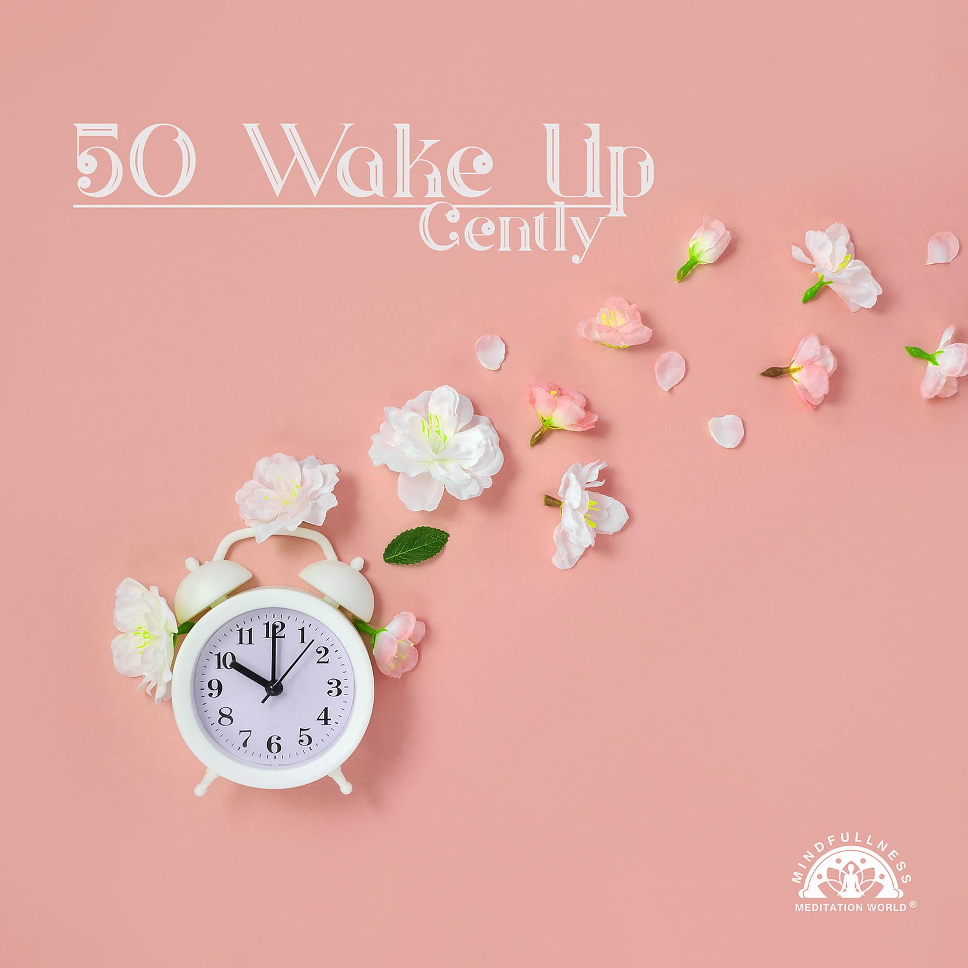 Постер альбома 50 Wake Up Gently: Morning Coaching, Awareness & Flexibility, Stress Buster, Ambient Relaxation, Mind Relaxation Techniques, Guided Imagery, Meditate in the Morning