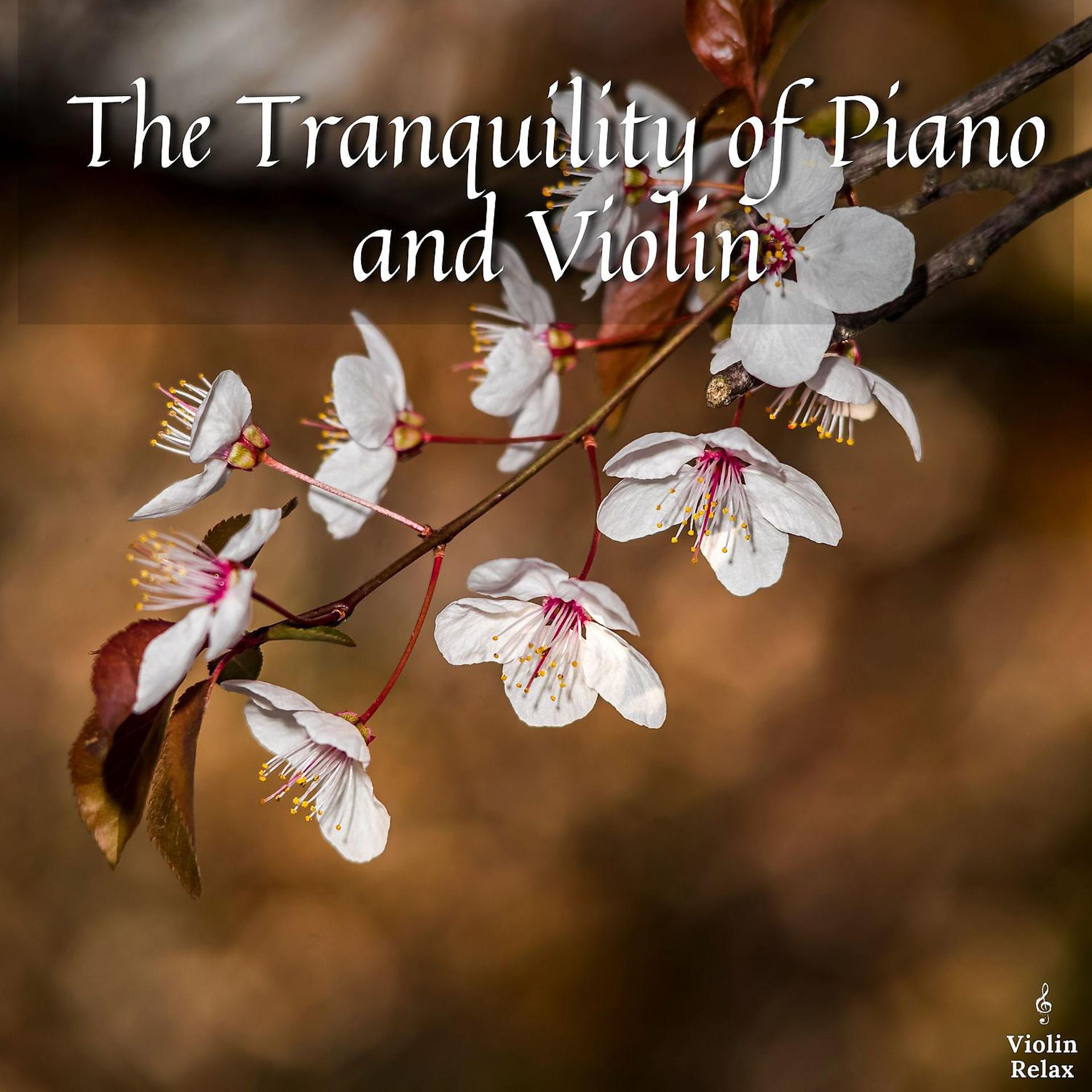 Постер альбома The Tranquility of Piano and Violin