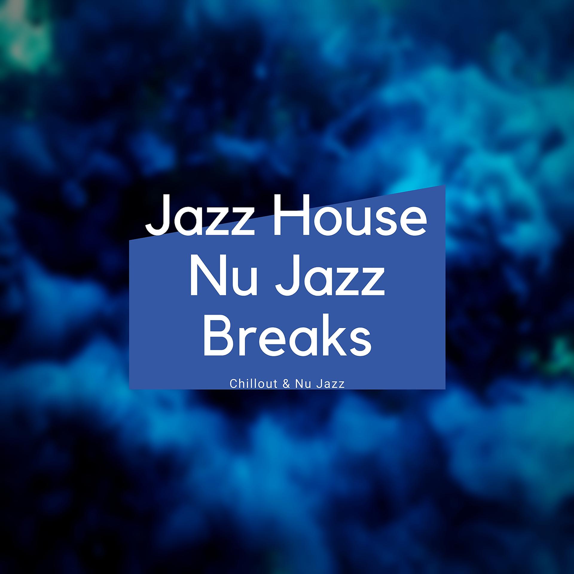Постер альбома Jazz House, Nu Jazz Breaks