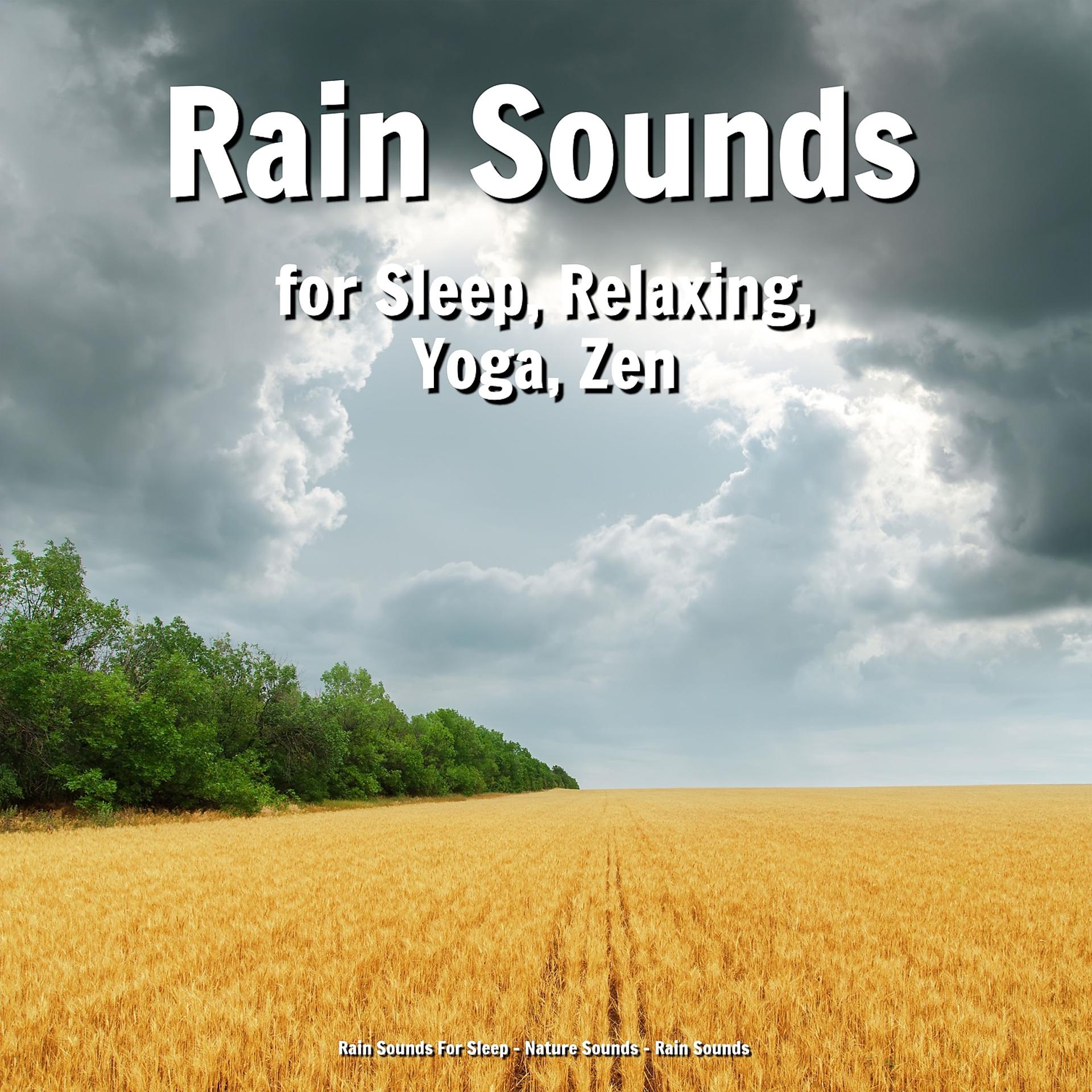 Постер альбома Rain Sounds for Sleep, Relaxing, Yoga, Zen