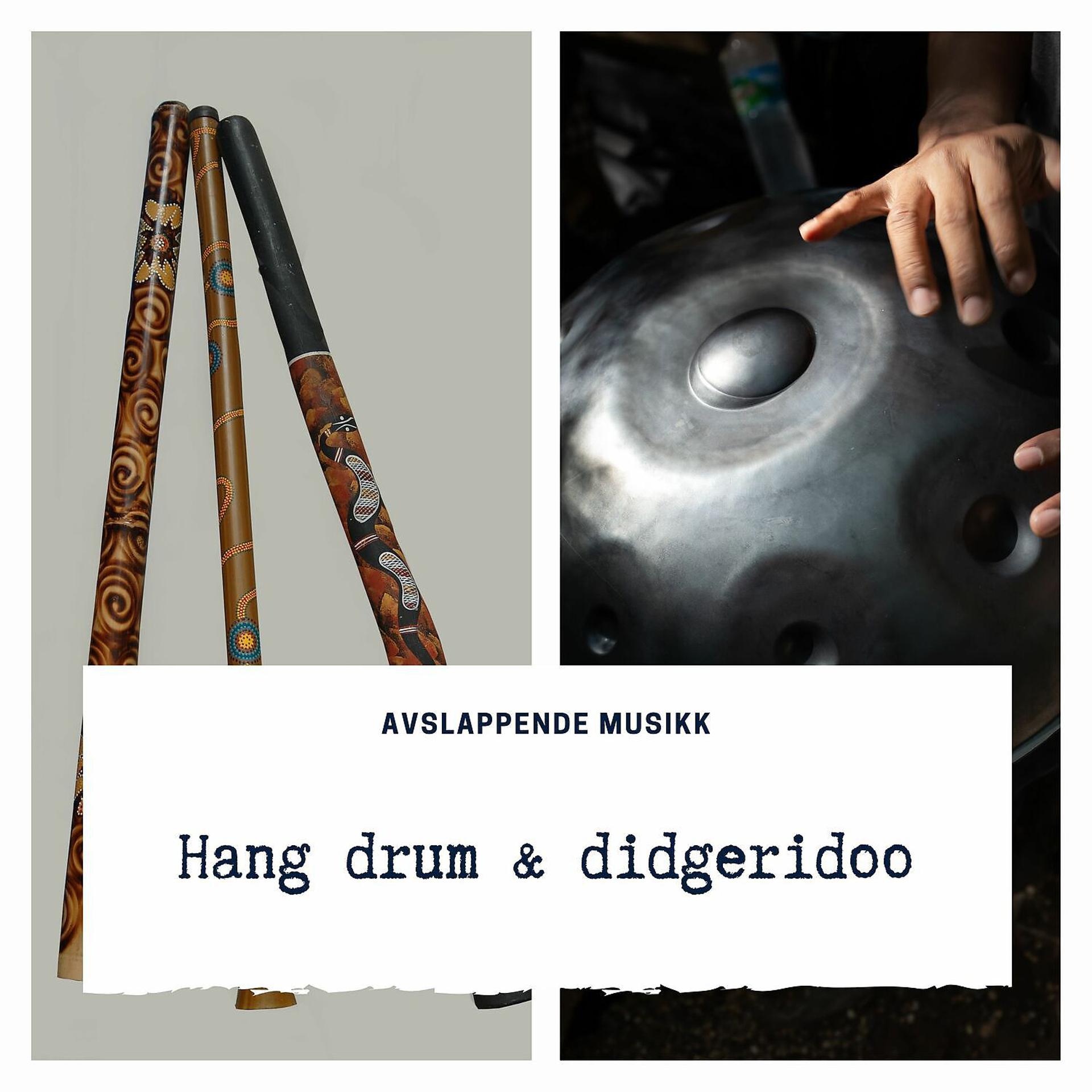 Постер альбома Hang drum & didgeridoo, Gitar og naturlyder