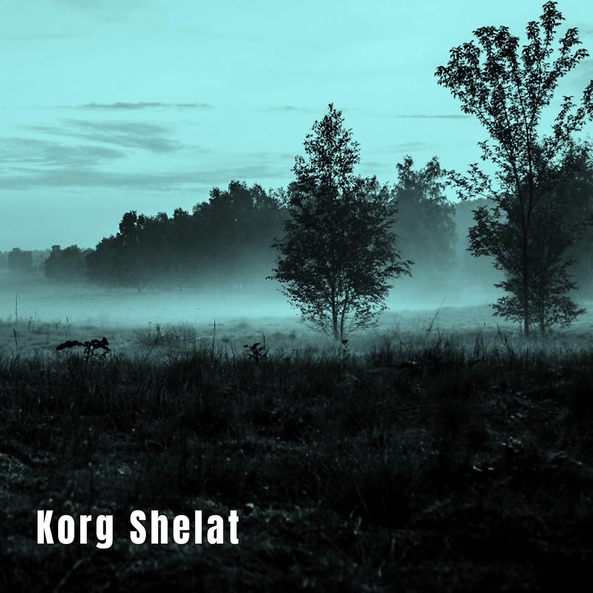 Постер альбома Korg Shelat