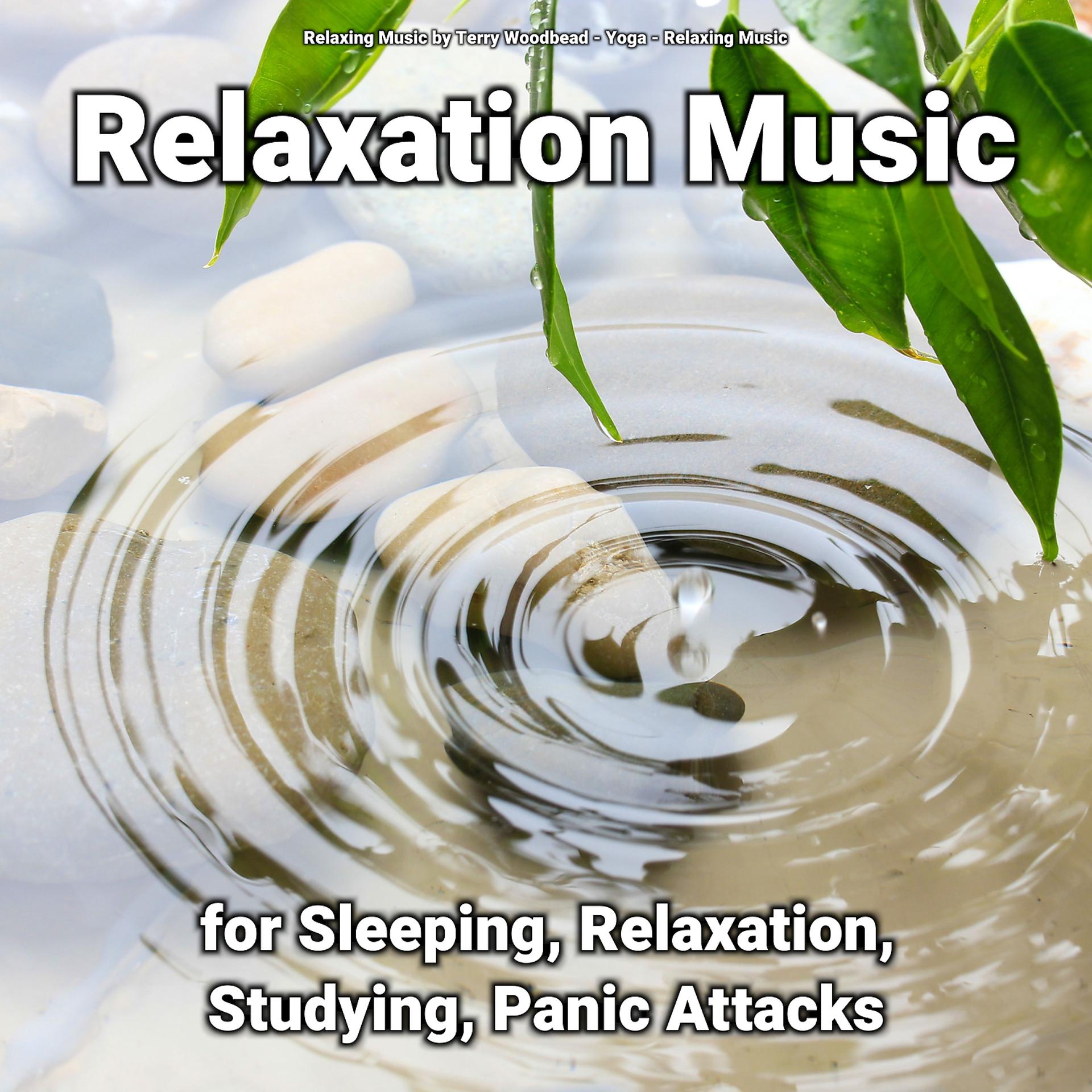 Постер альбома Relaxation Music for Sleeping, Relaxation, Studying, Panic Attacks