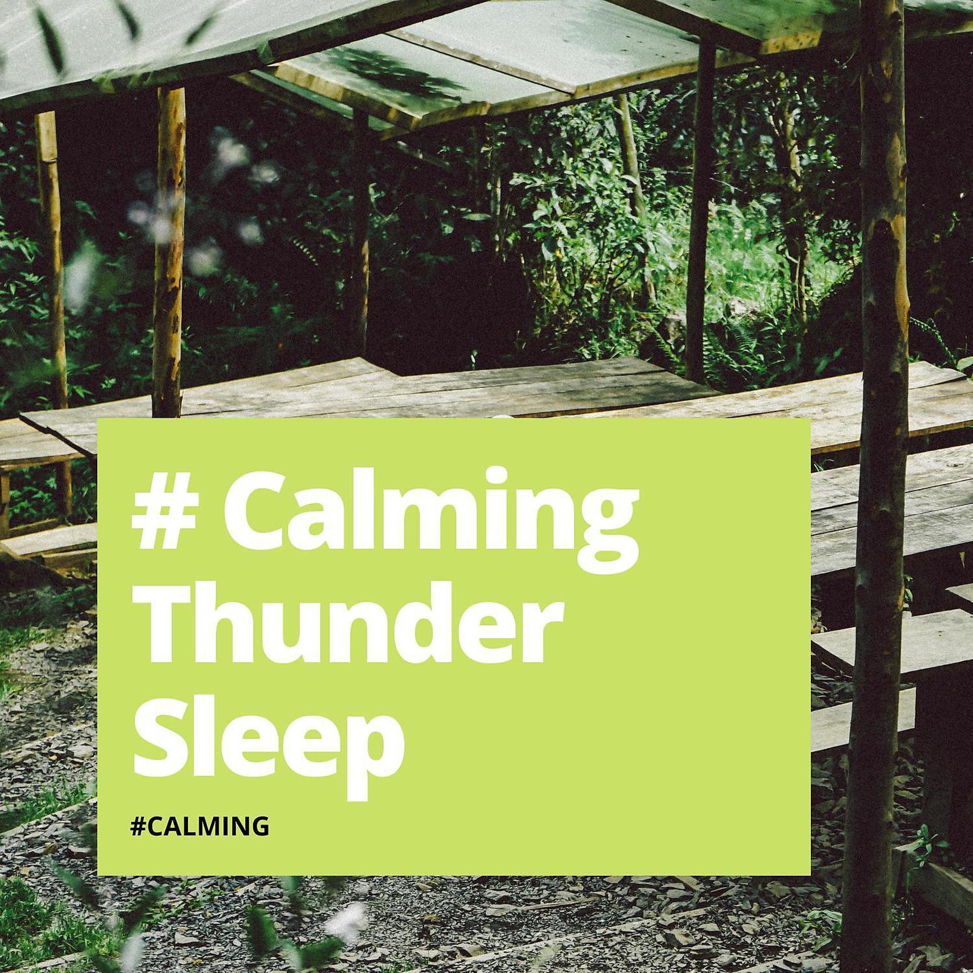 Постер альбома # Calming Thunder Sleep