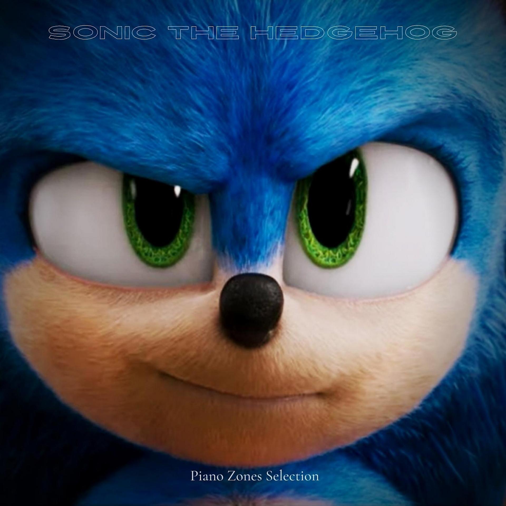 Постер альбома Sonic the Hedgehog