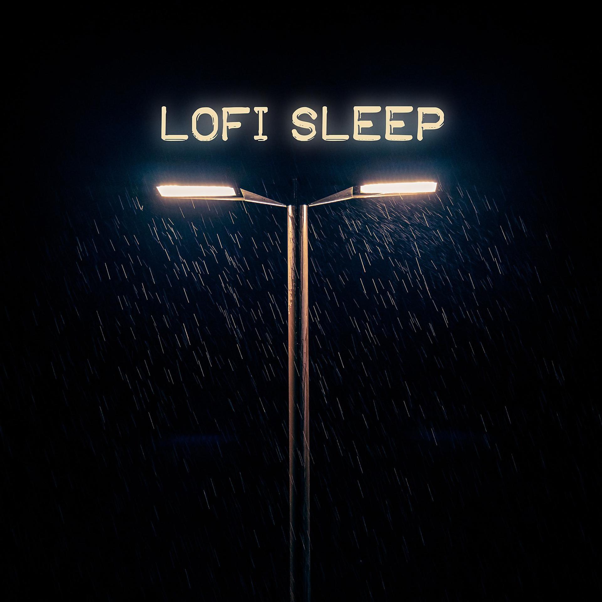 Постер альбома Lofi Sleep