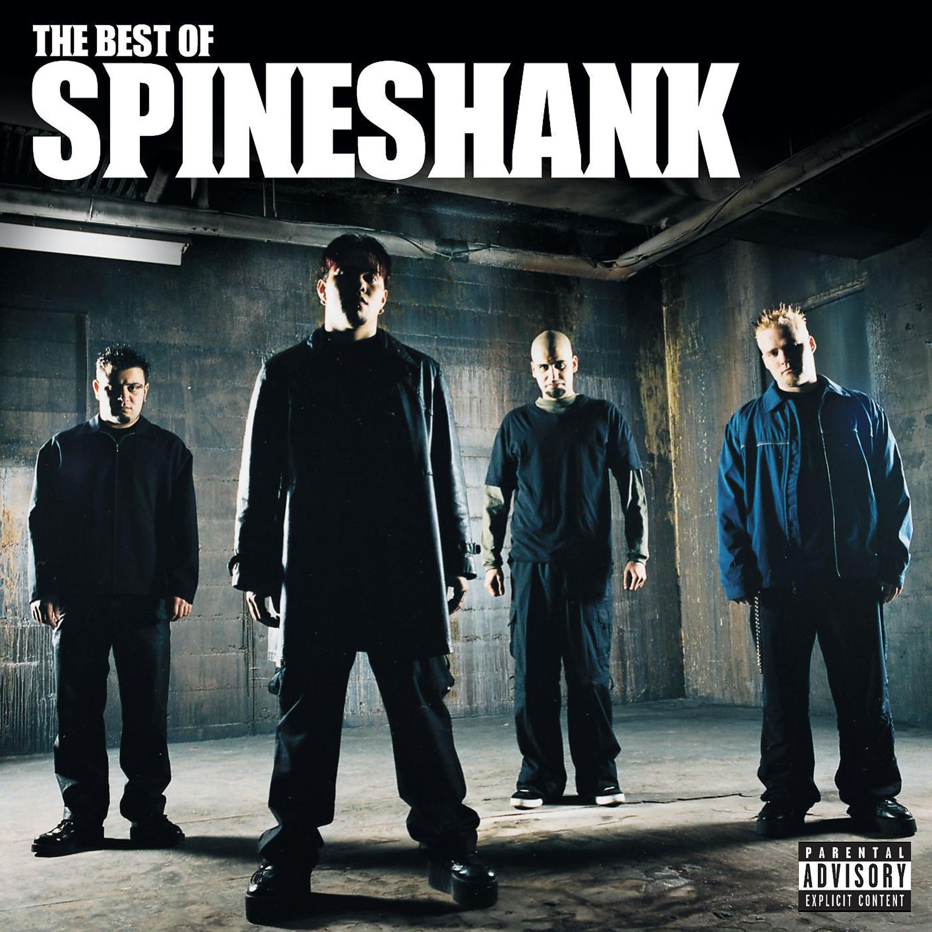 Постер альбома The Best Of Spineshank