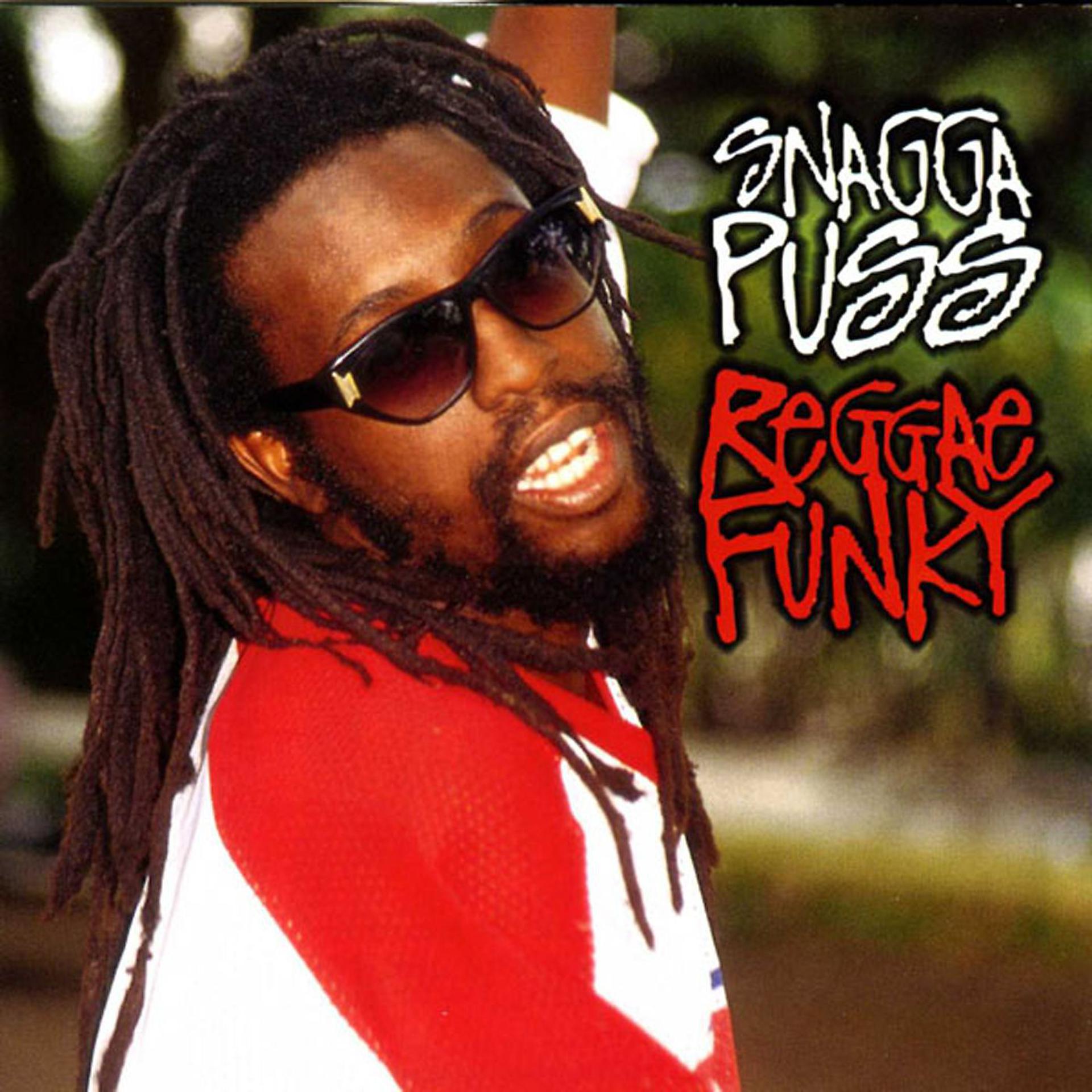 Постер альбома Reggae Funky