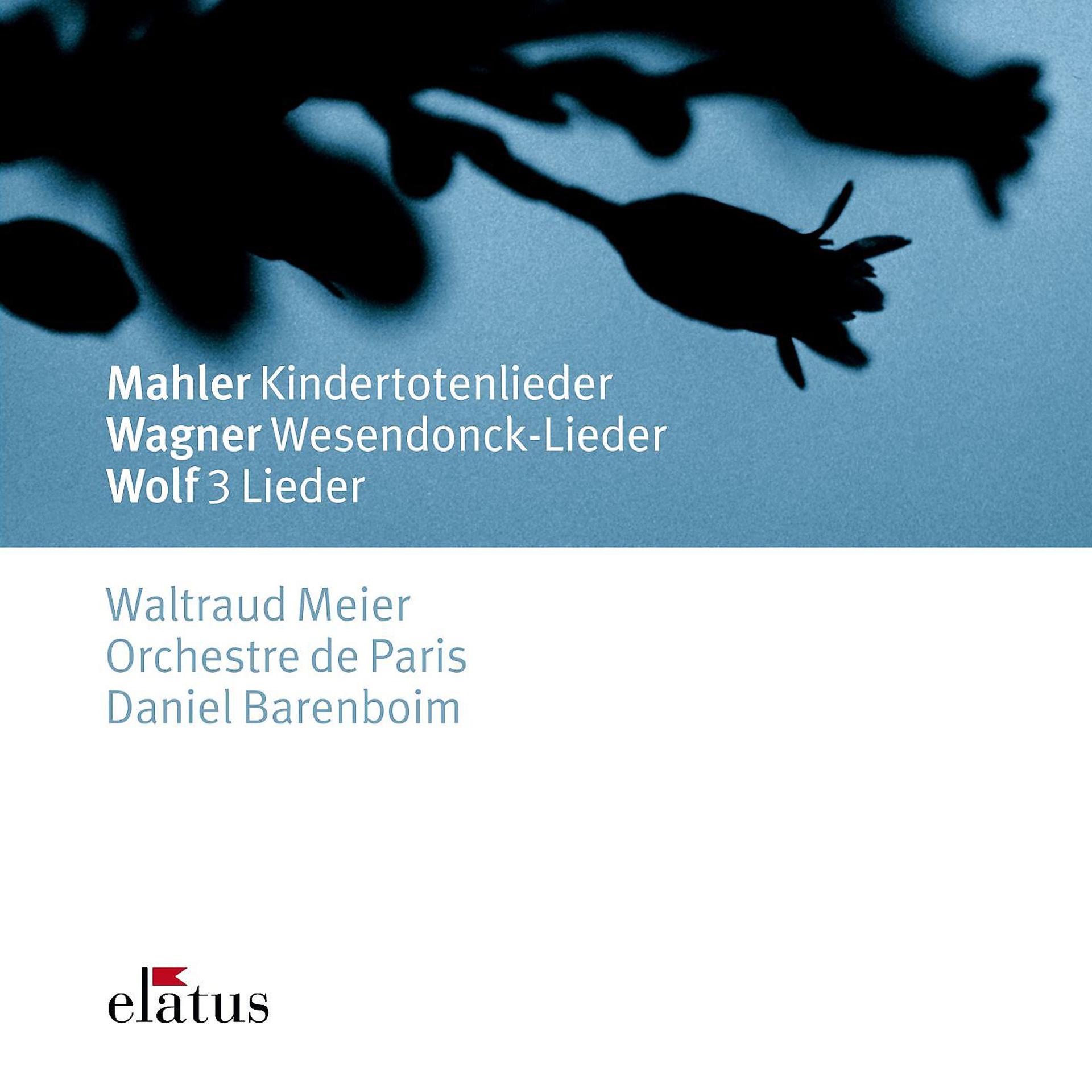 Постер альбома Mahler, Wagner & Wolf : Orchestral Songs  -  Elatus