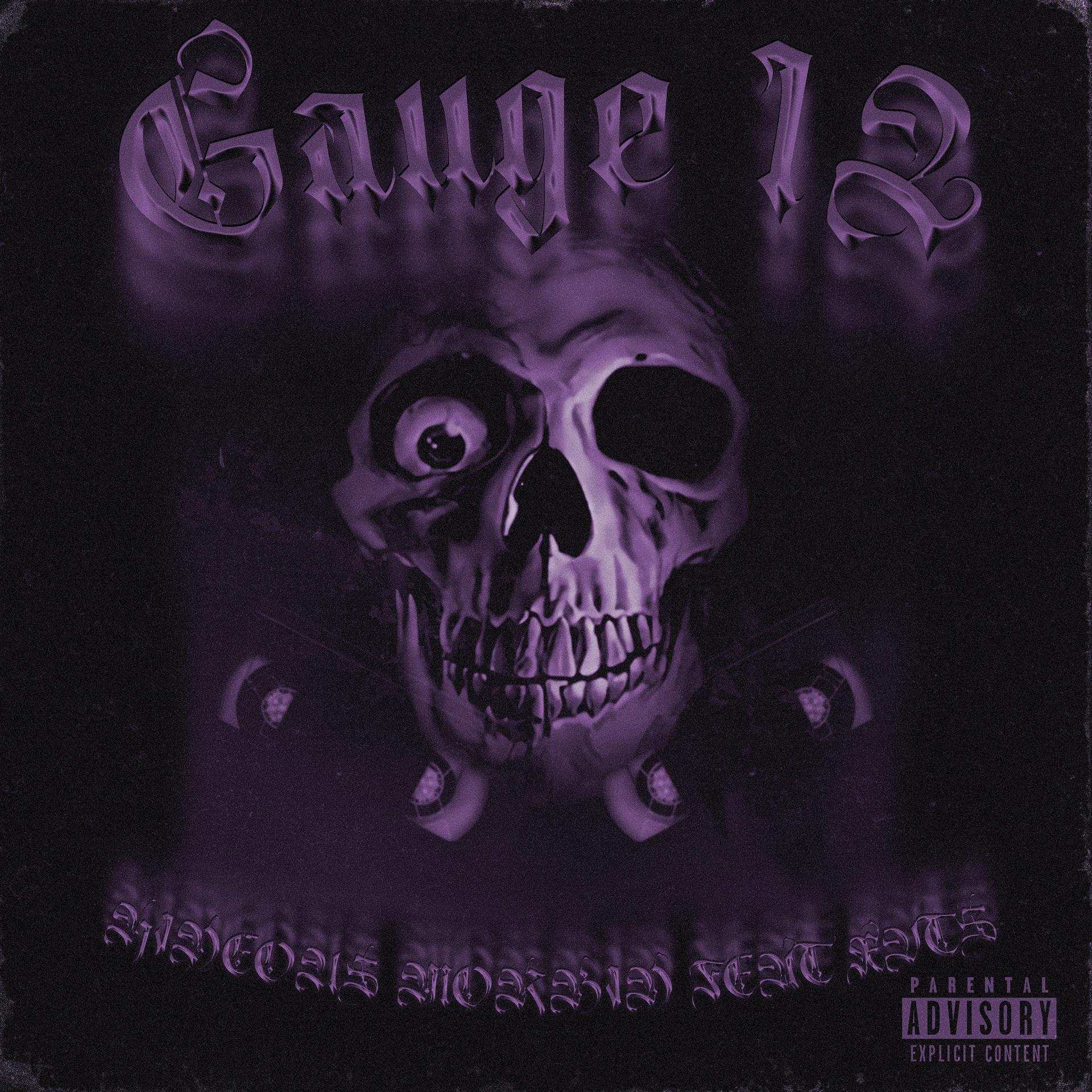 Постер альбома Gauge 12