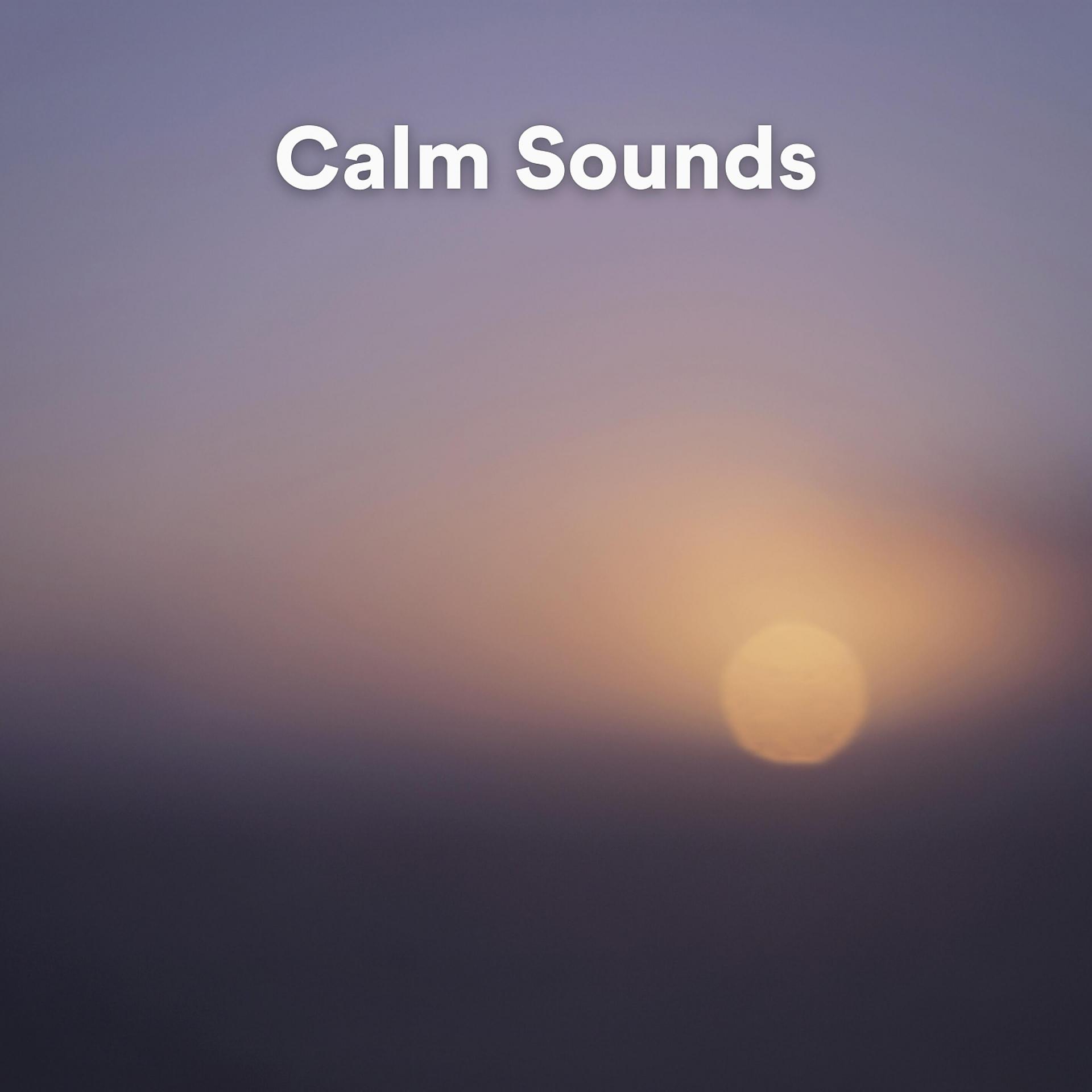 Постер альбома Calm Sounds