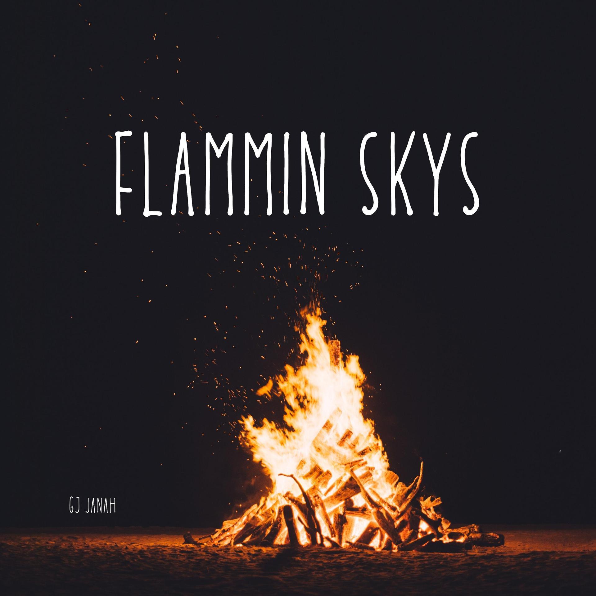 Постер альбома Flammin Skys