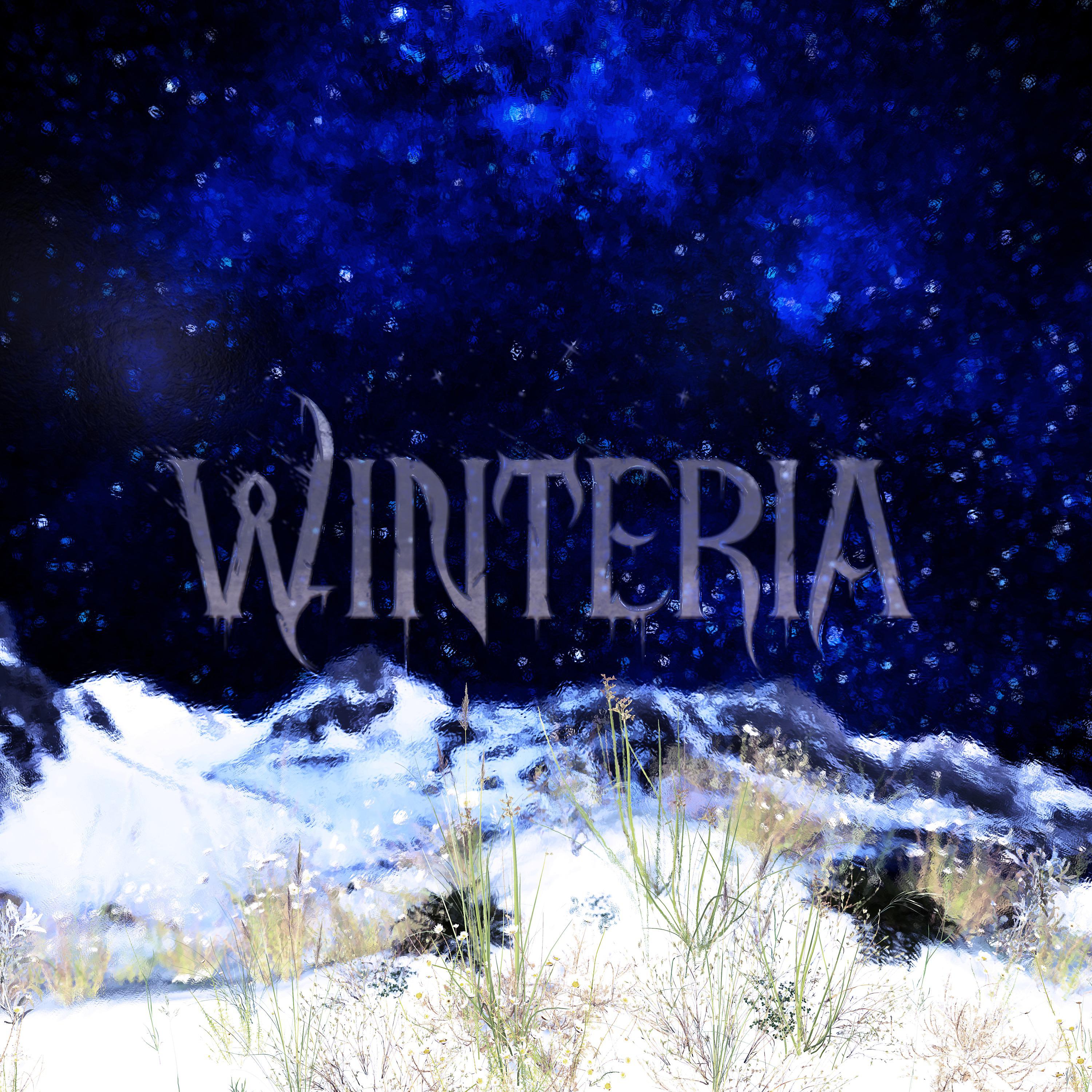 Постер альбома Winteria