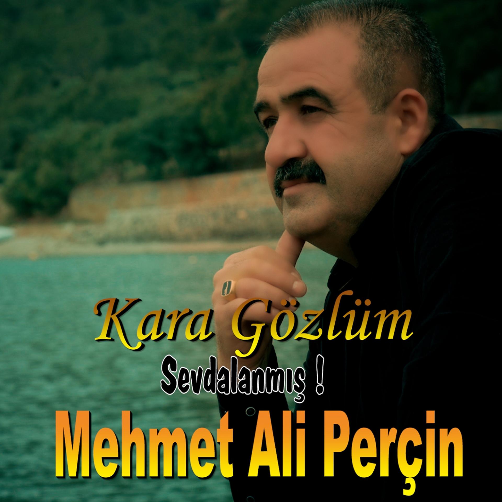 Постер альбома Kara Gözlüm Sevdalanmış