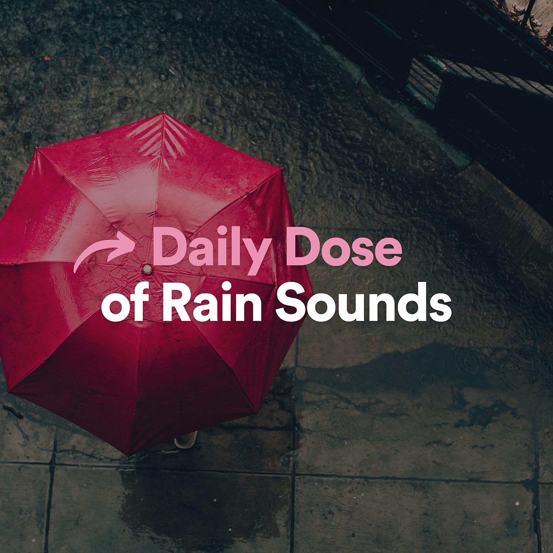 Постер альбома Daily Dose of Rain Sounds