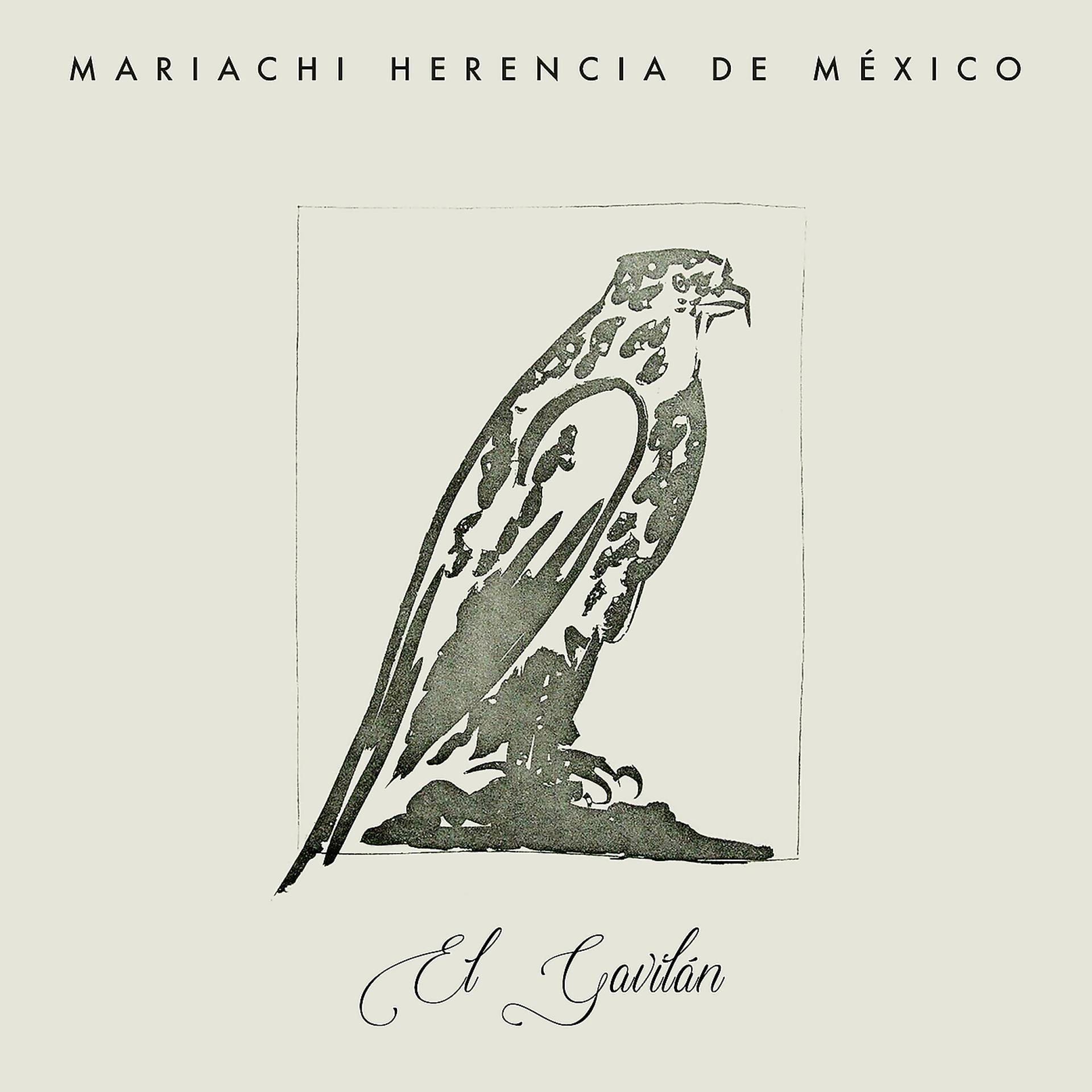 Постер альбома El Gavilán