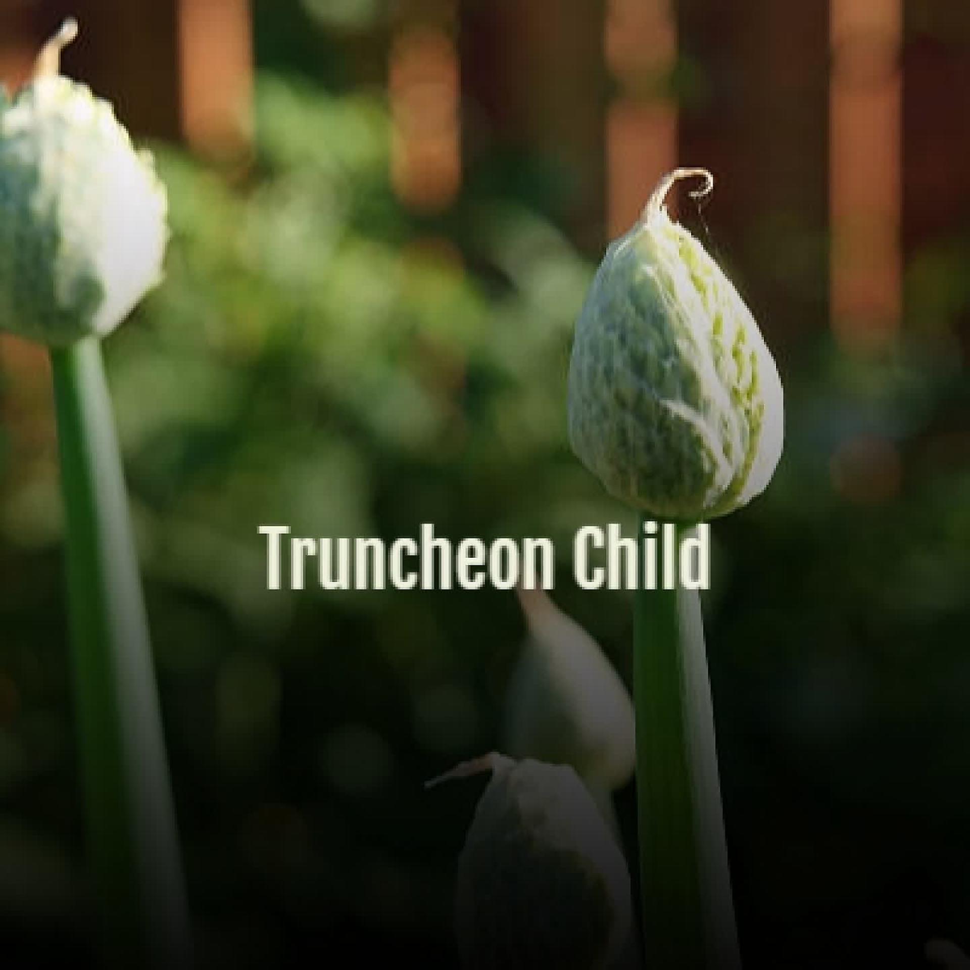 Постер альбома Truncheon Child