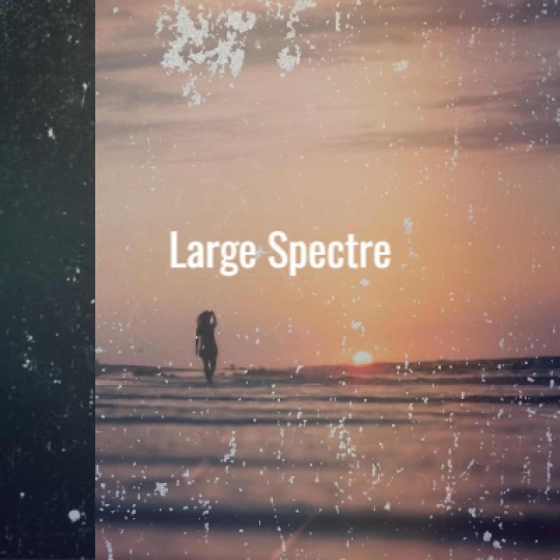 Постер альбома Large Spectre