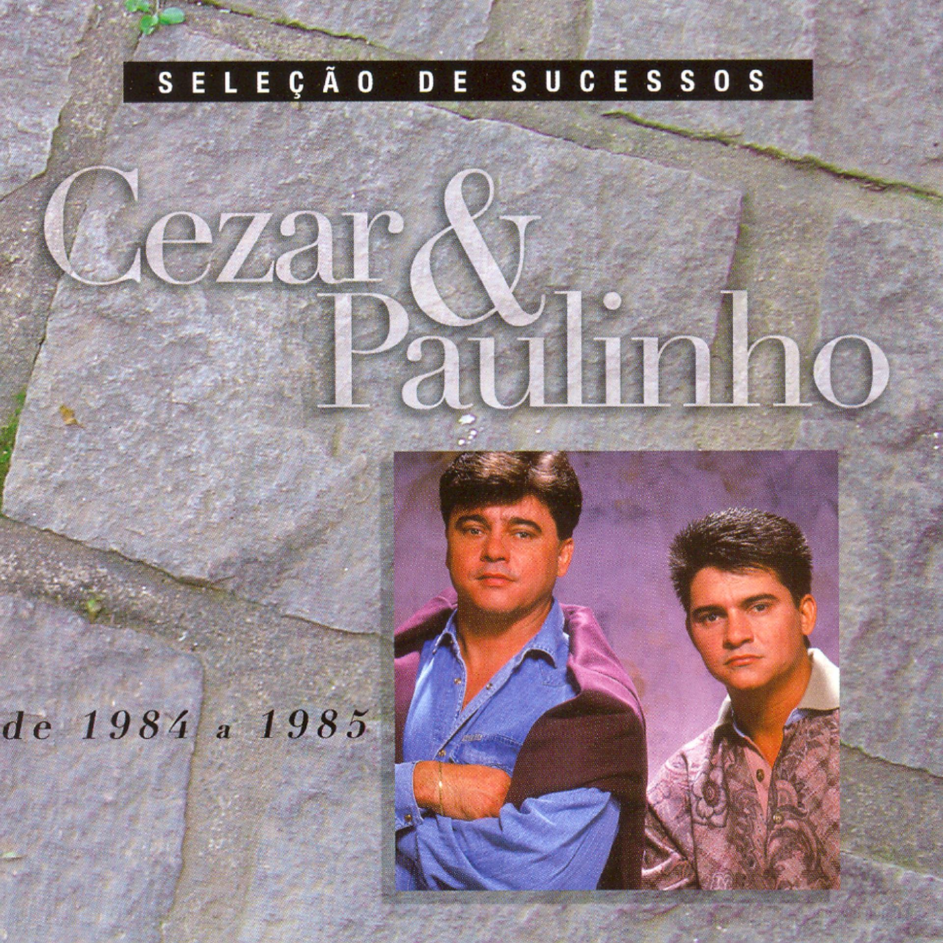 Постер альбома Seleção de Sucessos - 1984 / 1985