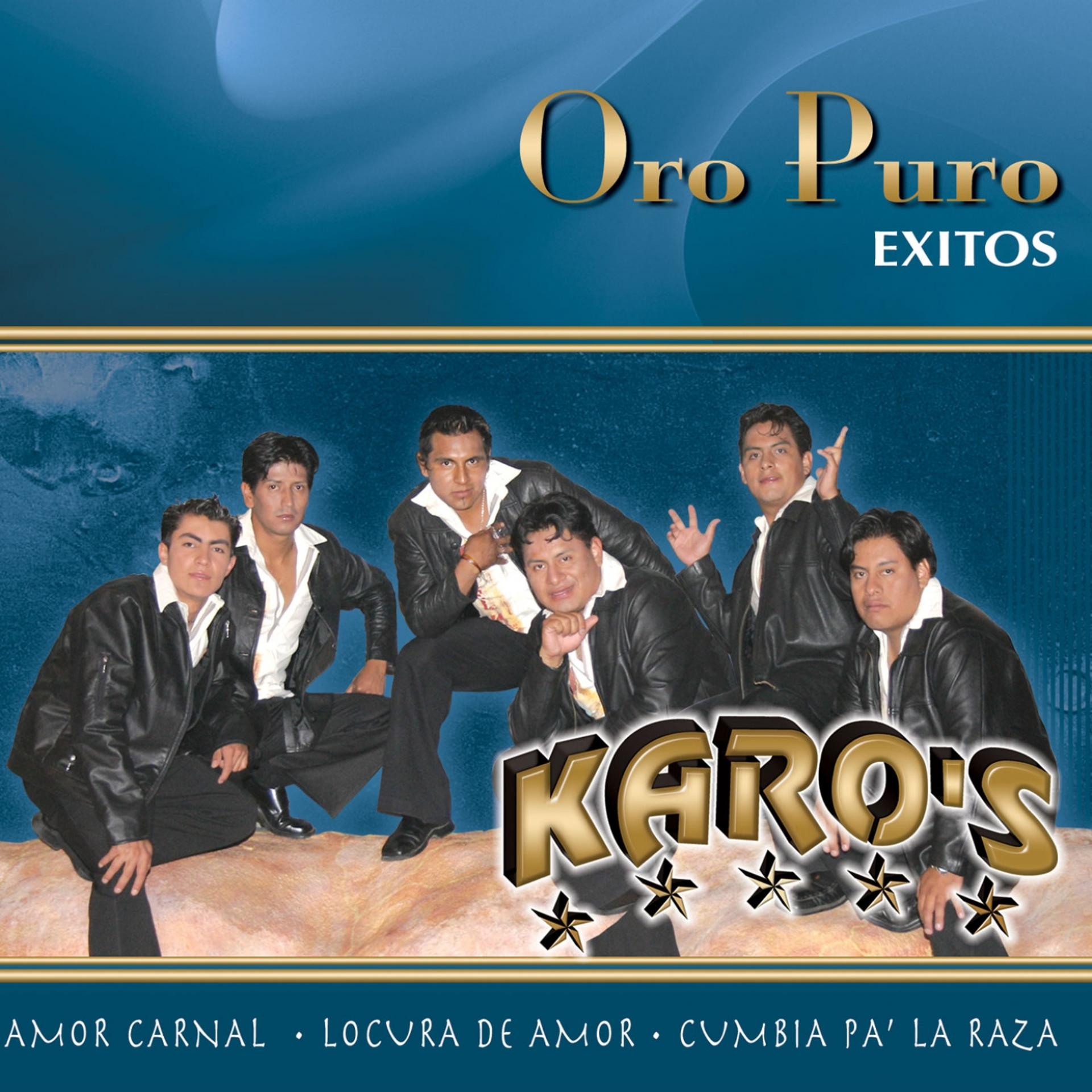 Постер альбома Oro Puro: Exitos